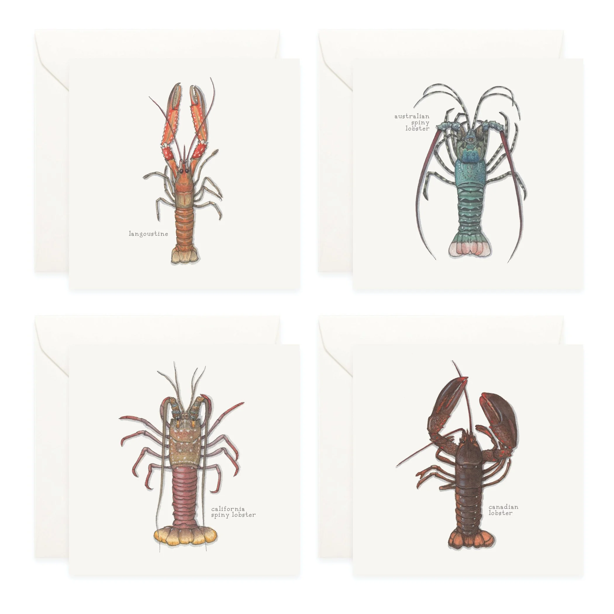 Shop_Box Set_Lobsters3.jpg