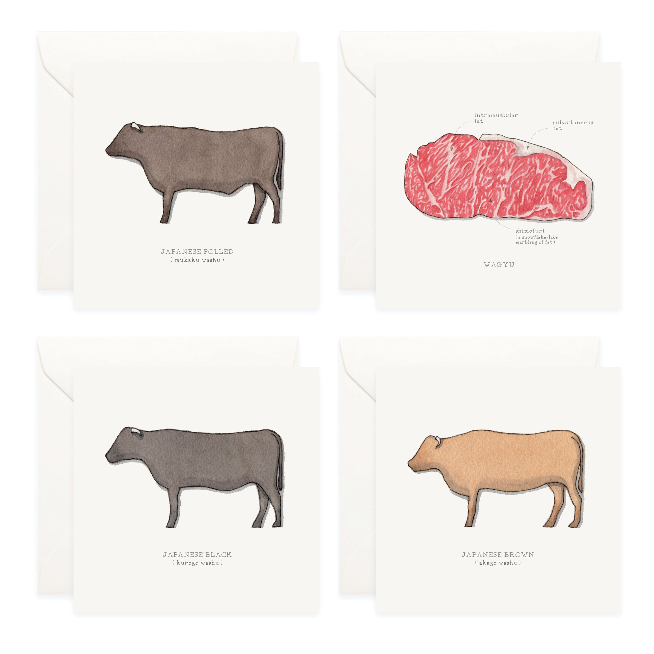Shop_Box Set_Wagyu4.jpg