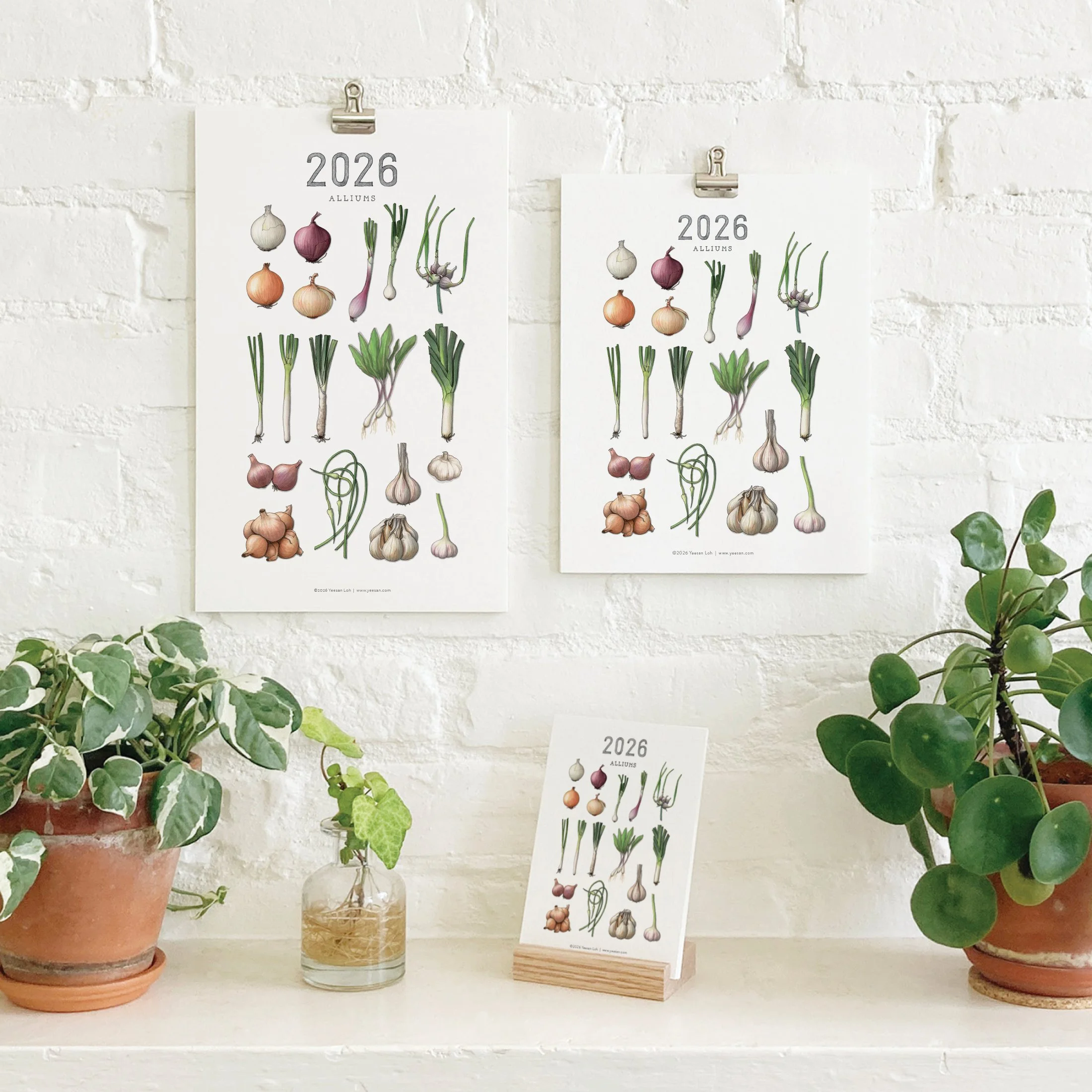 2026_shop_Calendars_Alliums.jpg