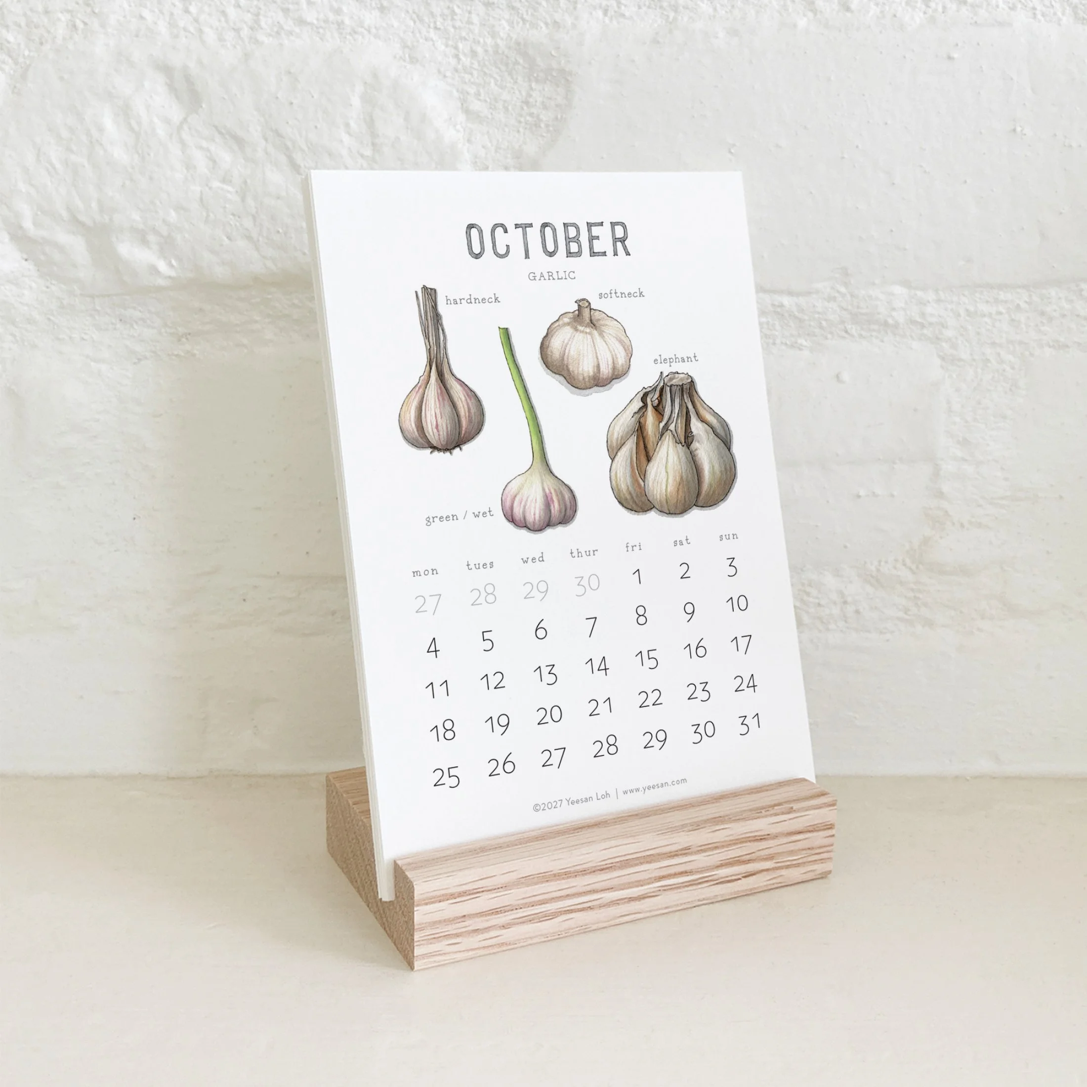 2027_shop_CAL_Alliums12.jpg