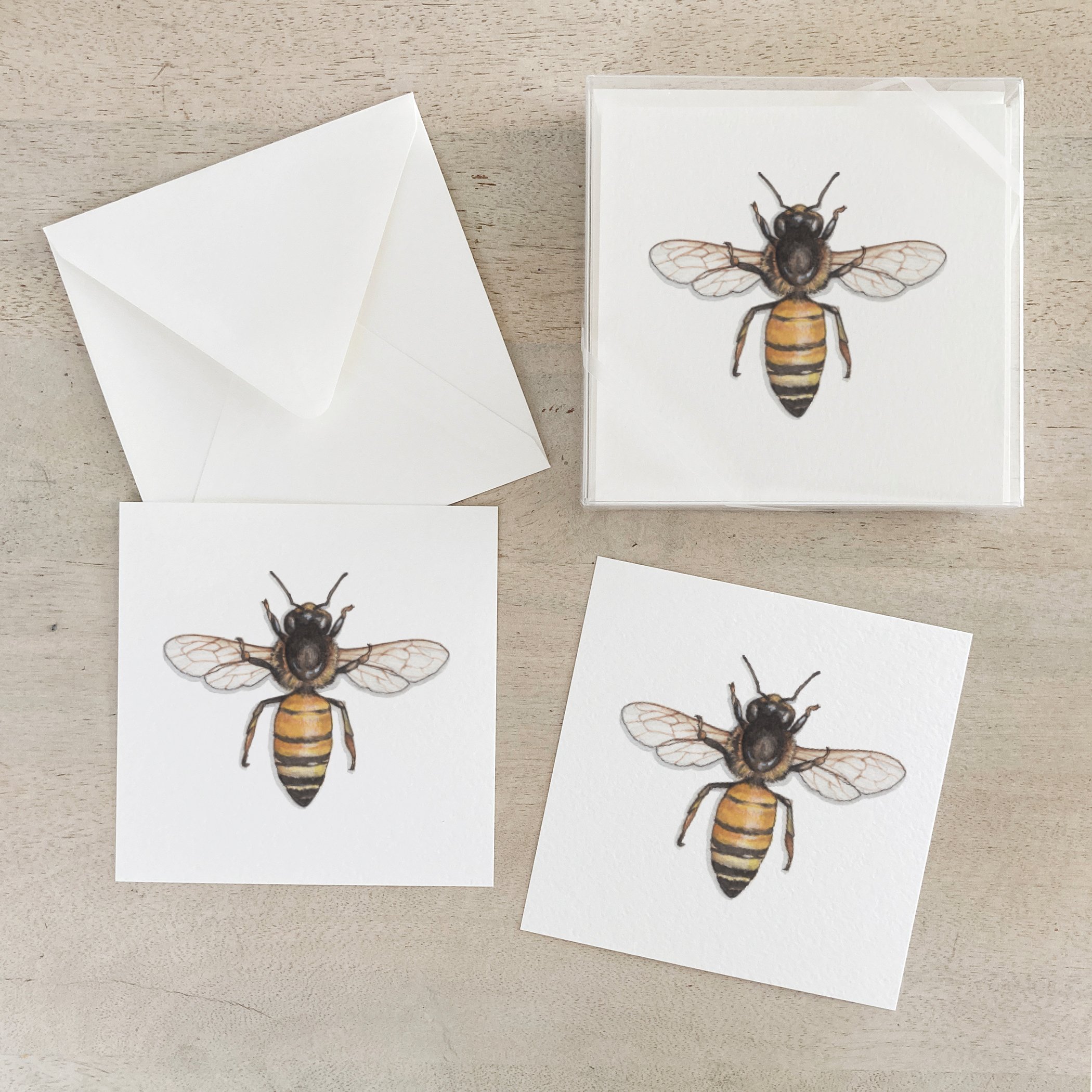 Honey Bee | Box Set Cards