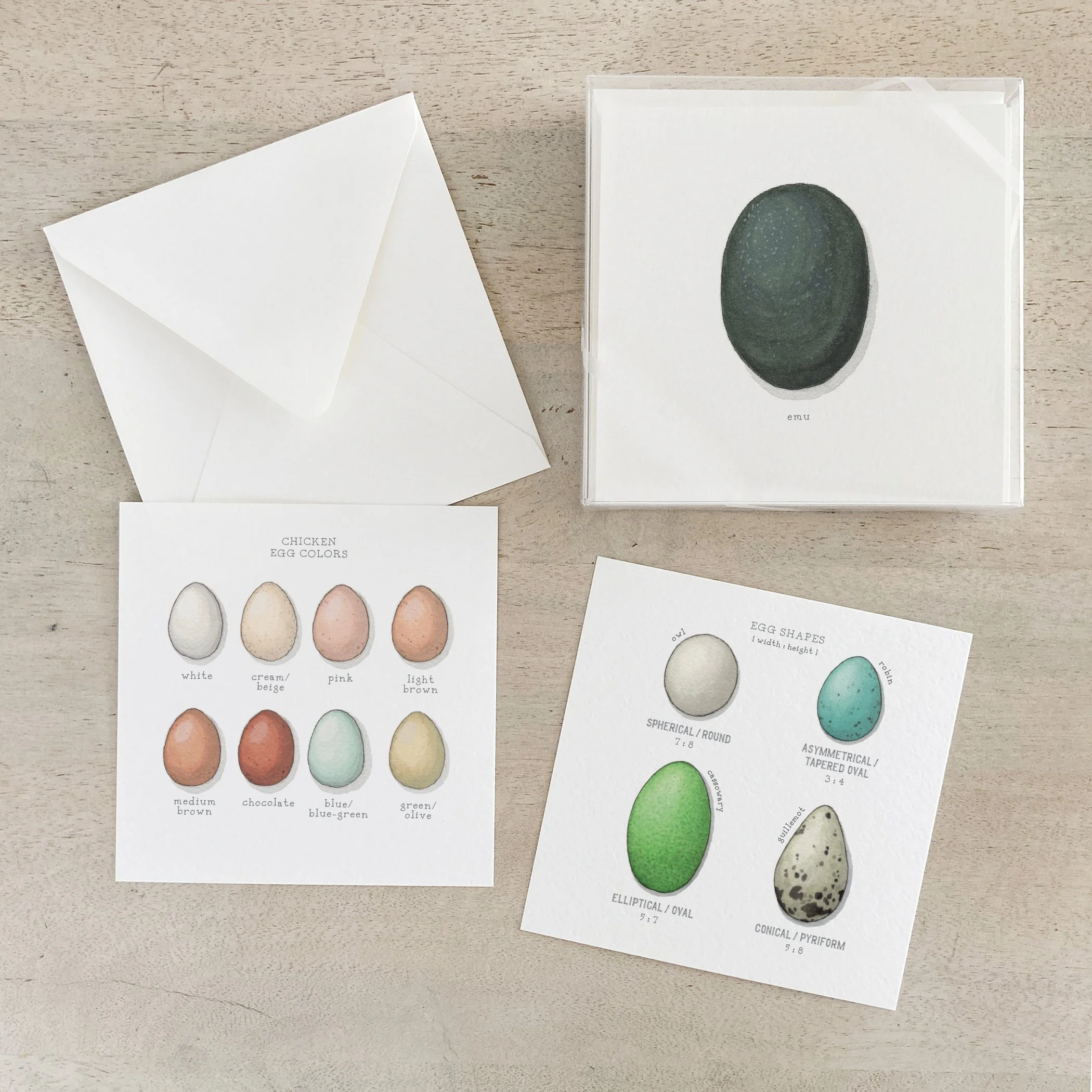 Egg | Box Set Cards