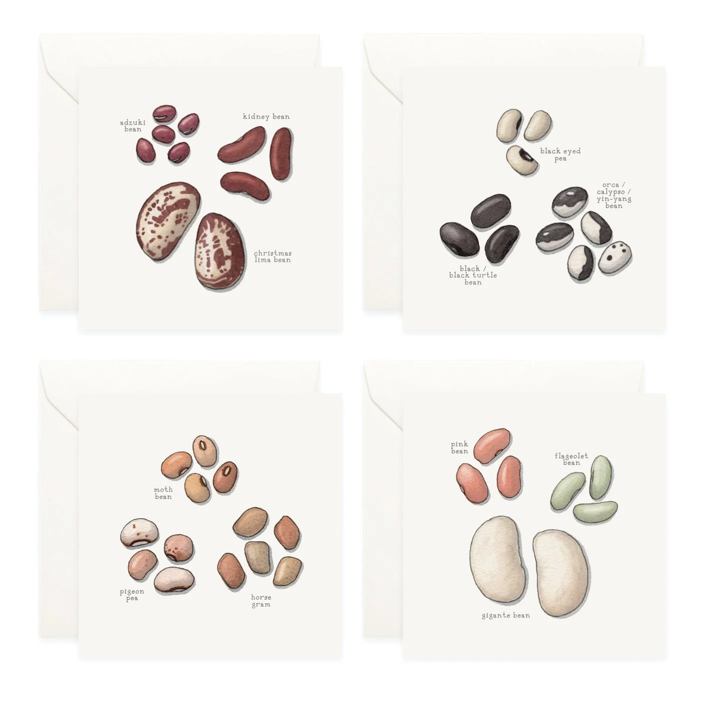 Shop_Box Set_Pulses5.jpg