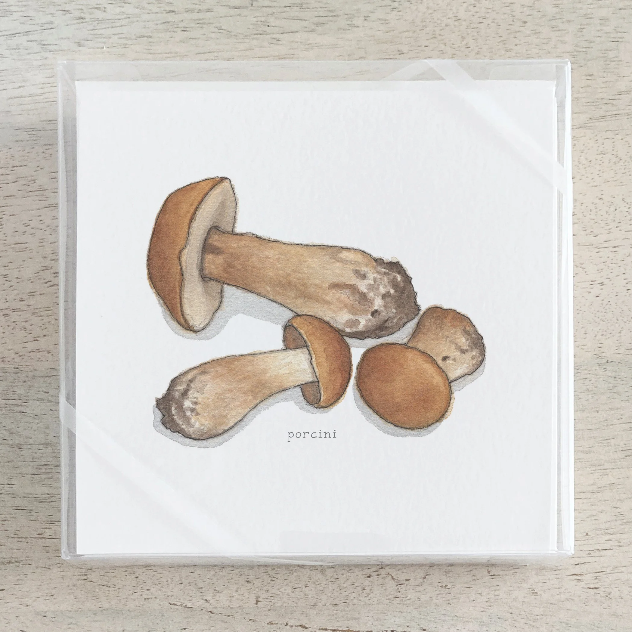 Shop_Box Set_Mushrooms.jpg