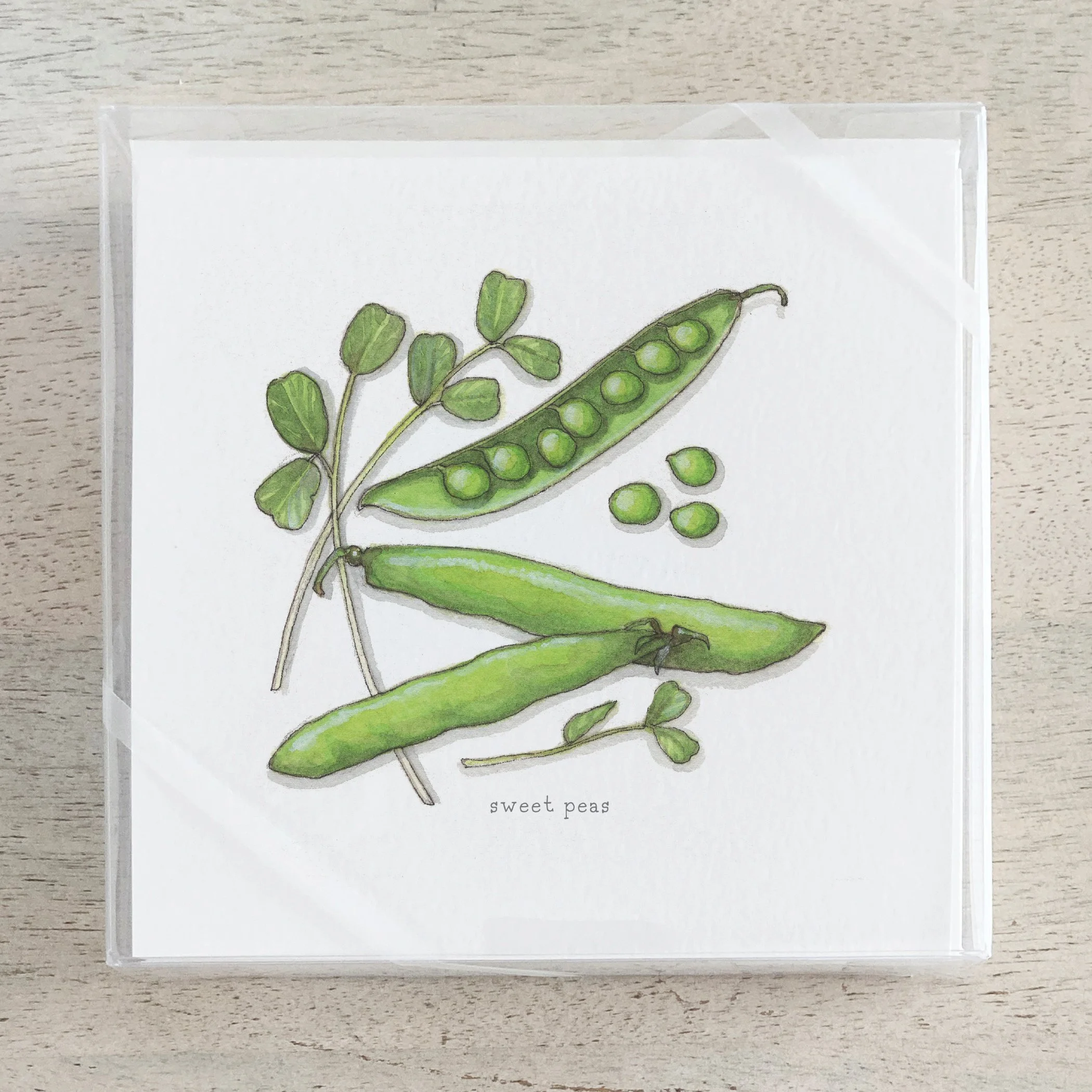 Shop_Box Set_Squash_Vegetables.jpg