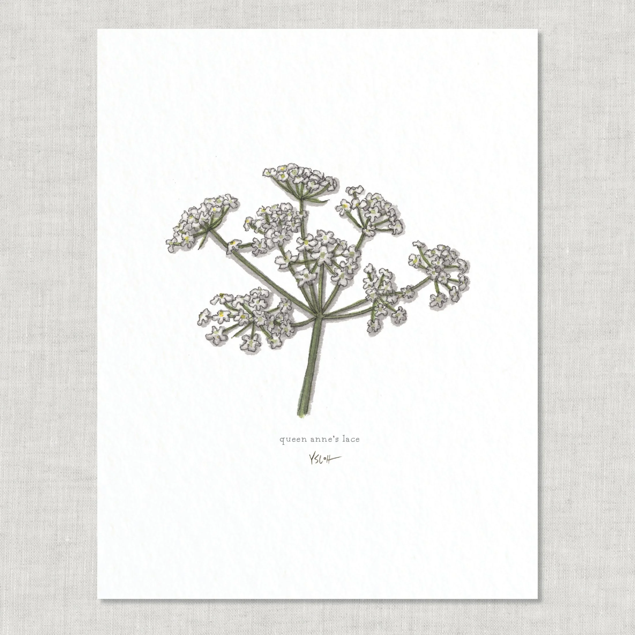 Shop_8.5x11_print_Edible Flowers23.jpg