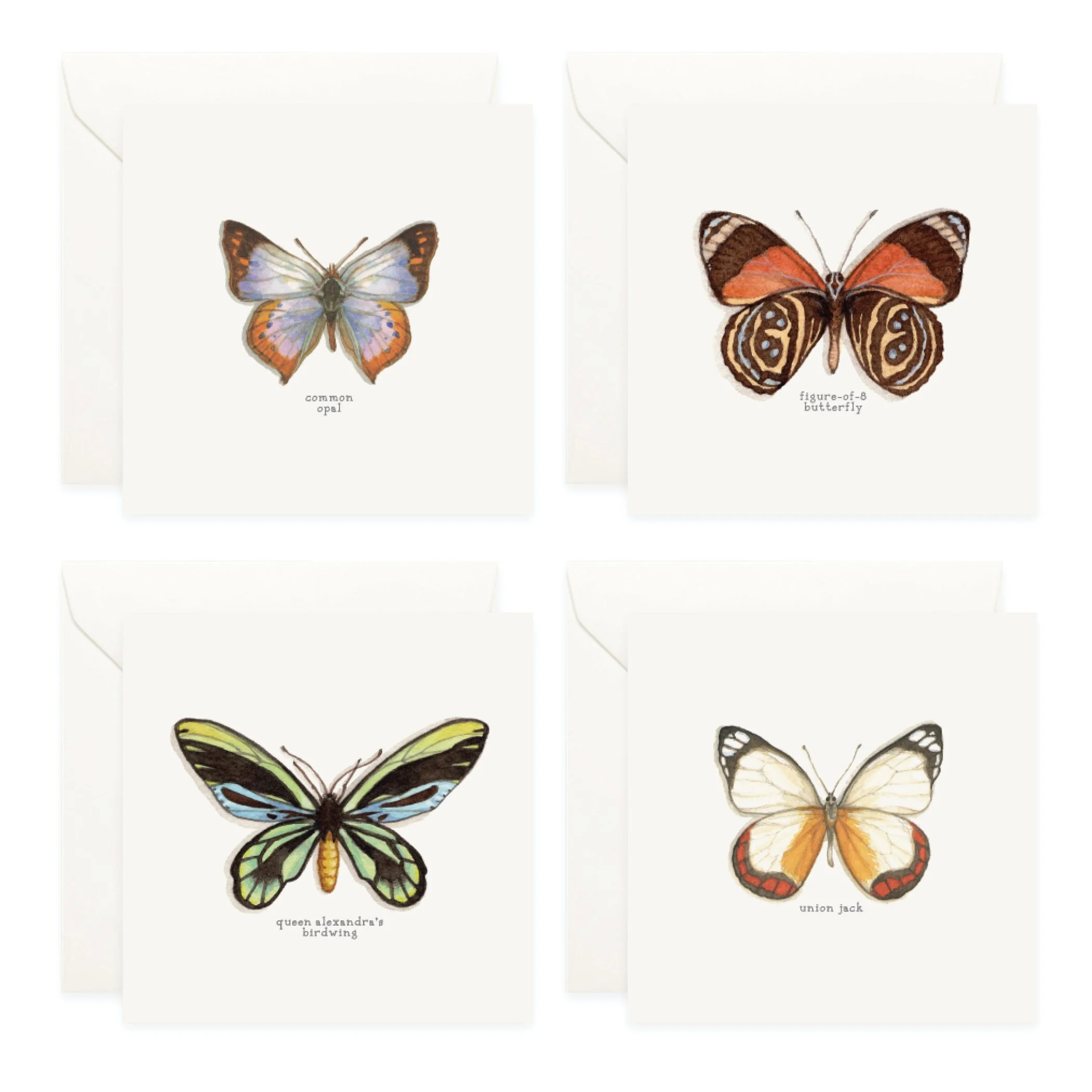 Shop_Box Set_B&M4.jpg