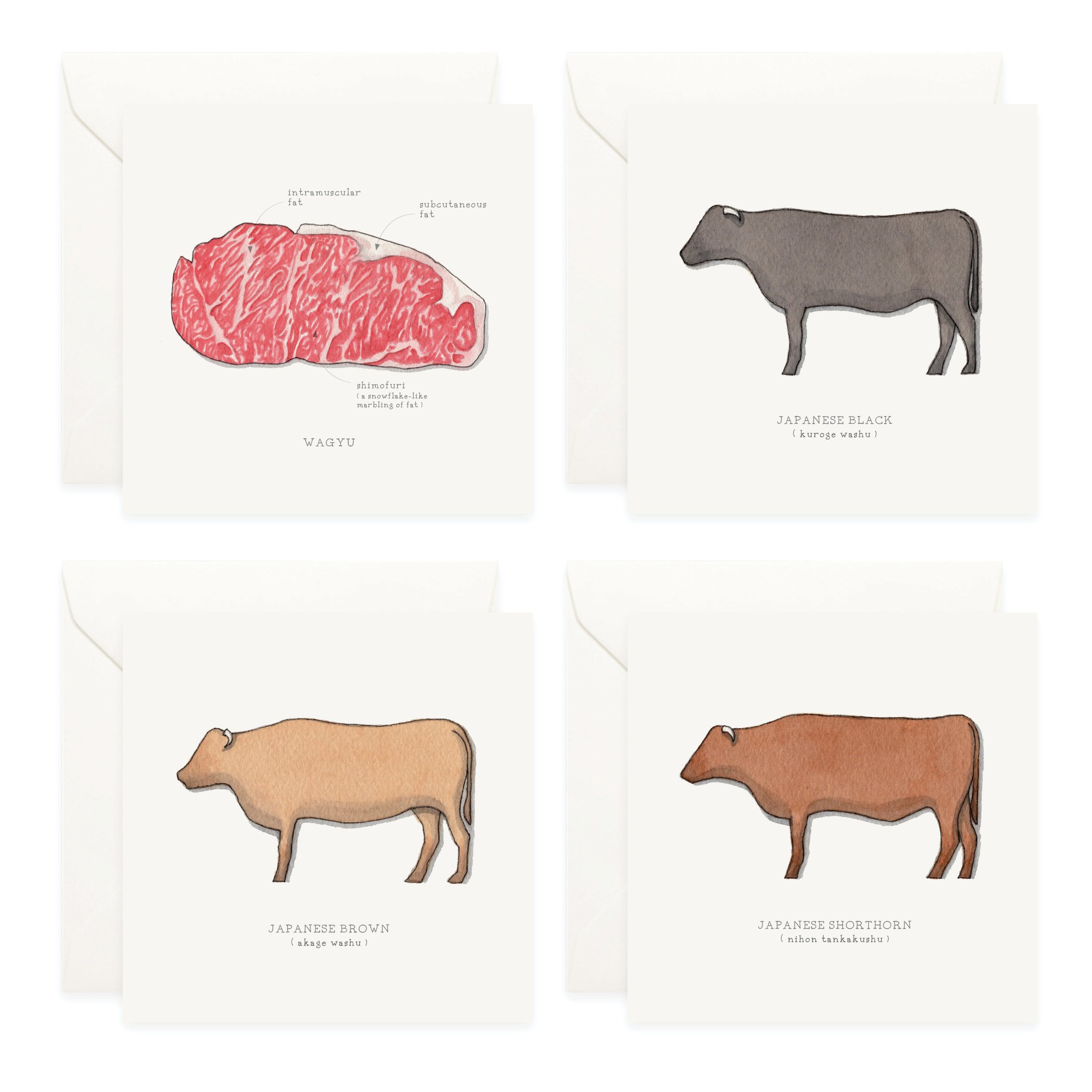 Shop_Box Set_Wagyu3.jpg