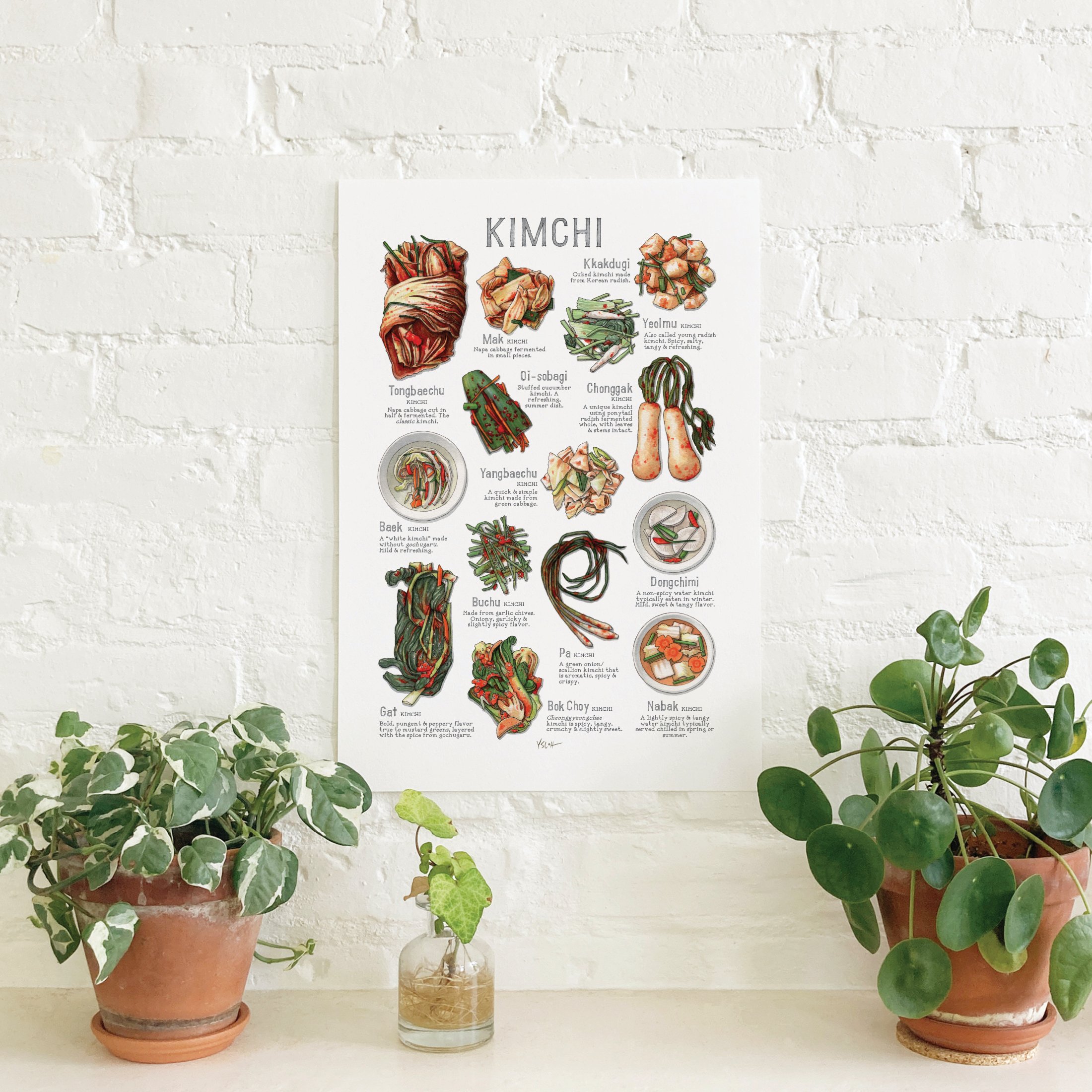 Shop_Poster_13x19_Kimchi2.jpg