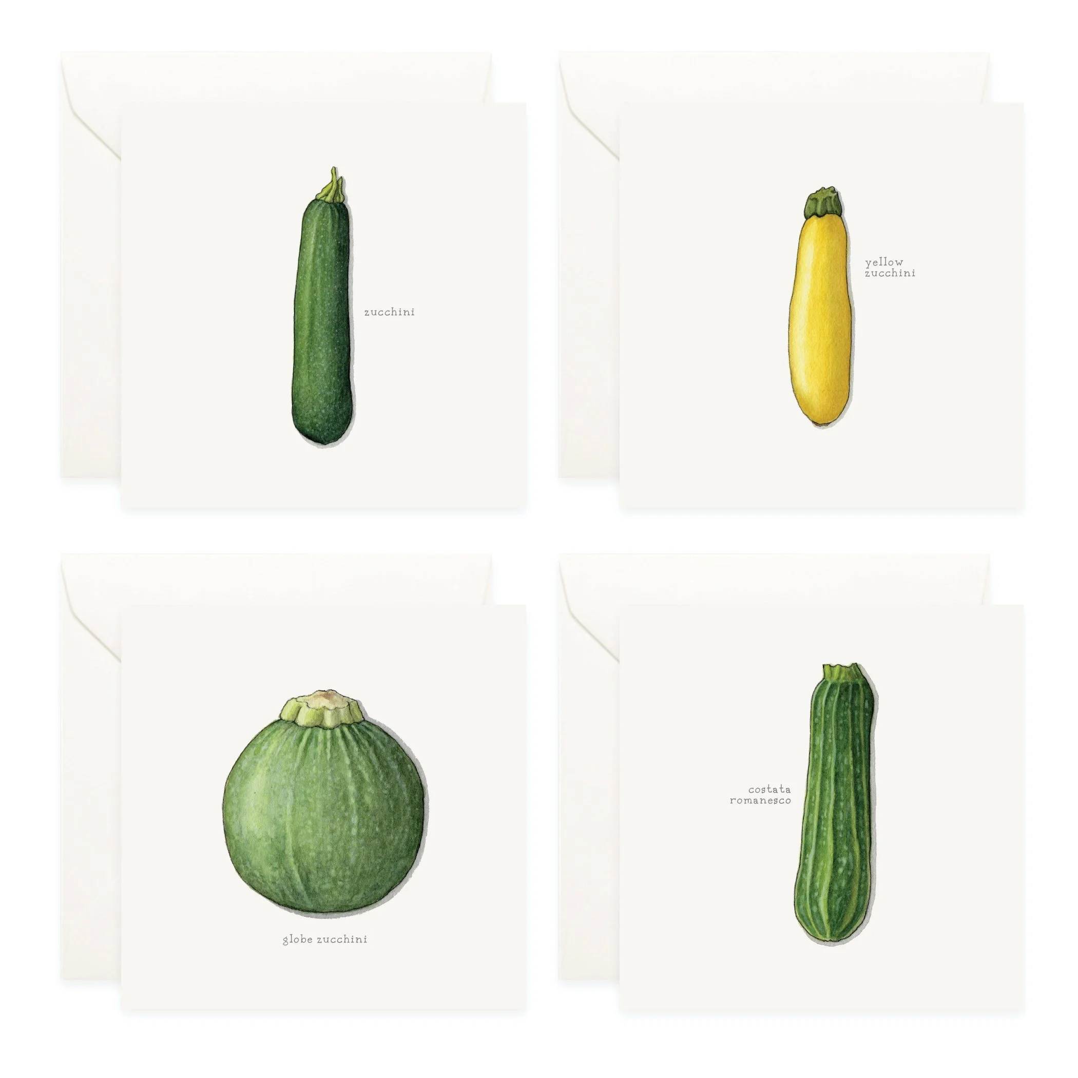 Shop_Box Set_Squash_Summer3.jpg