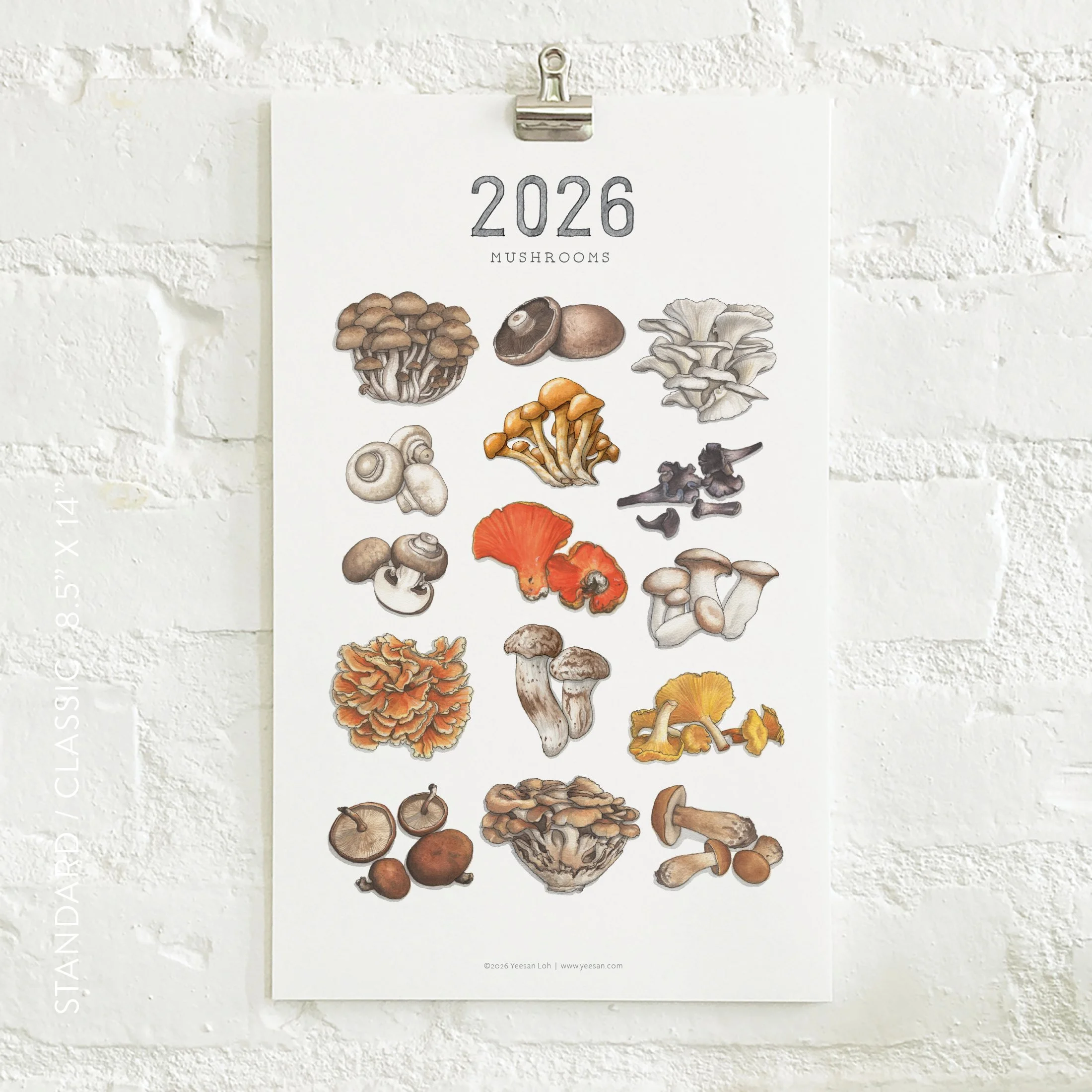 2026_shop_Calendars_Mushrooms2.jpg