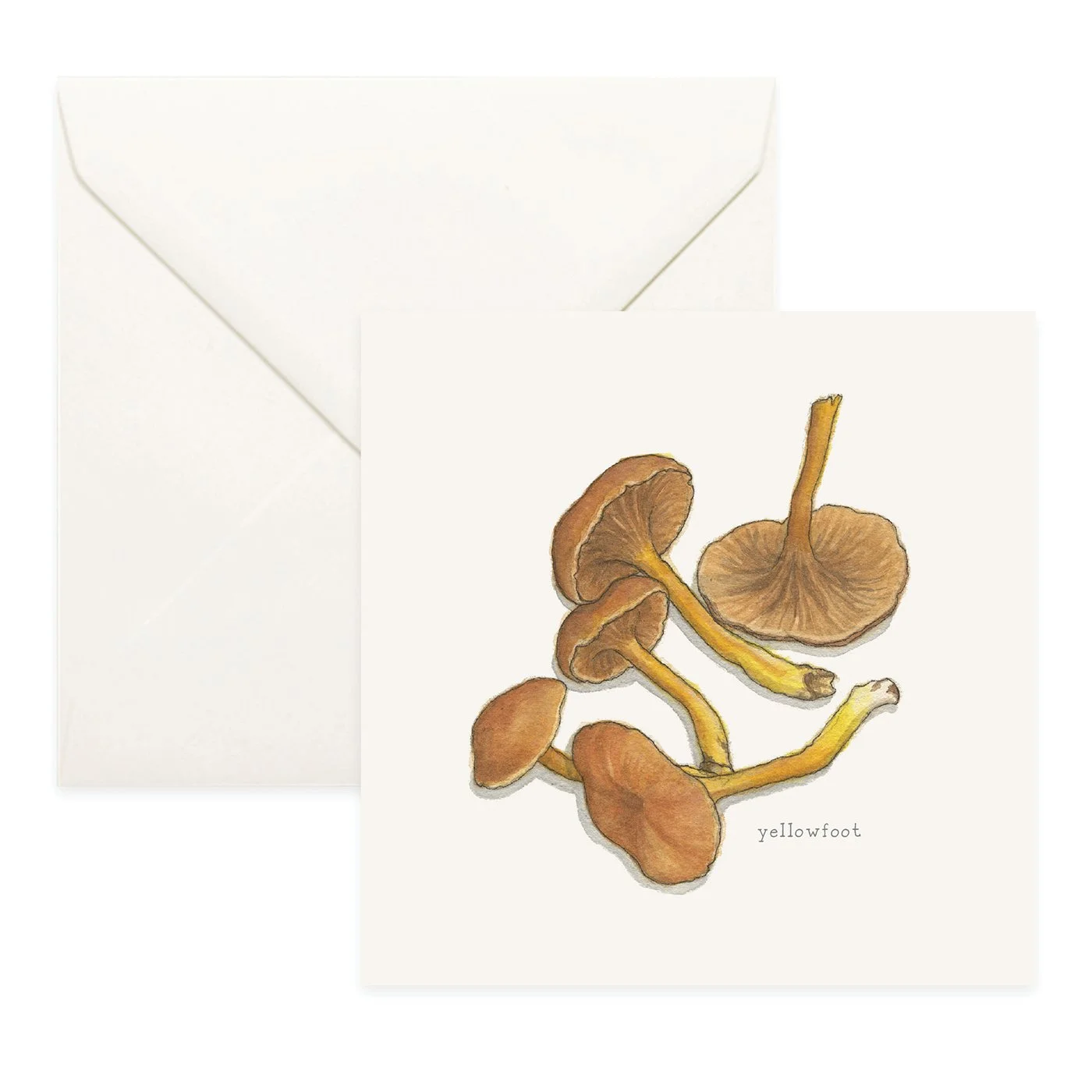 Shop_Cards_Mushrooms25.jpg