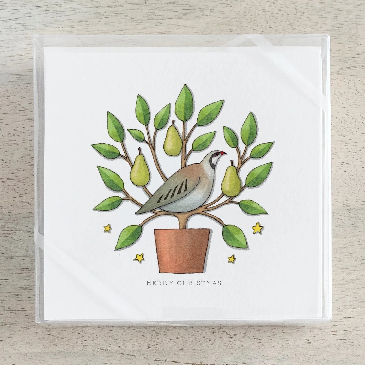 Shop_Box Set_CCBox_Partridge.jpg