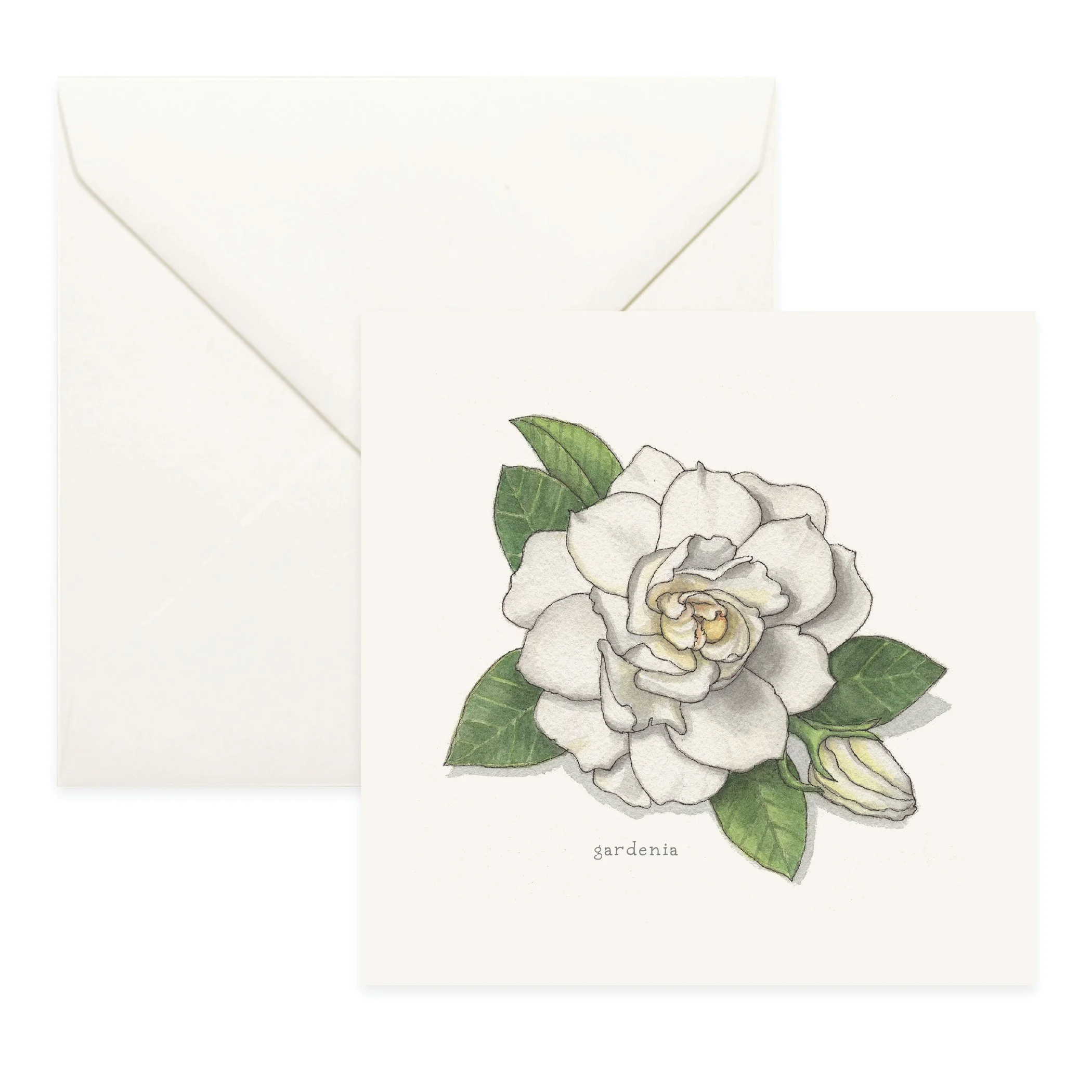 Shop_Cards_Flowers25.jpg