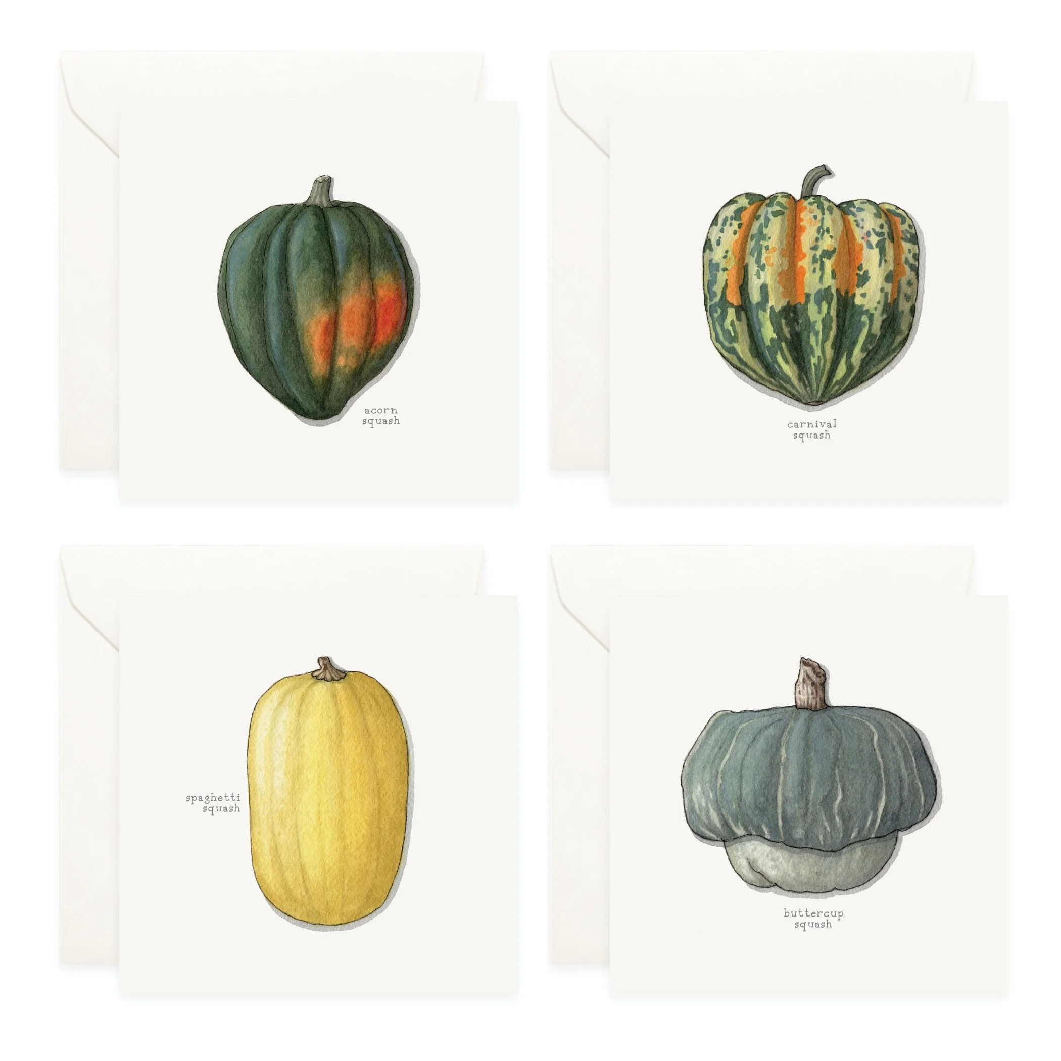 Shop_Box Set_Squash_Winter3.jpg