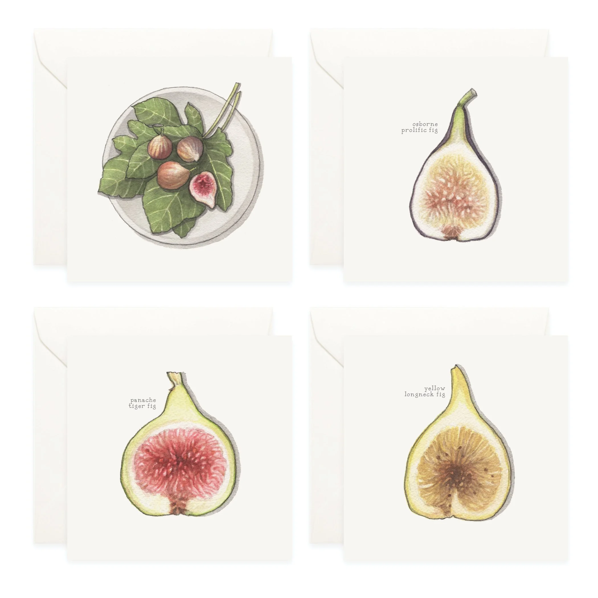 Shop_Box Set_Figs5.jpg