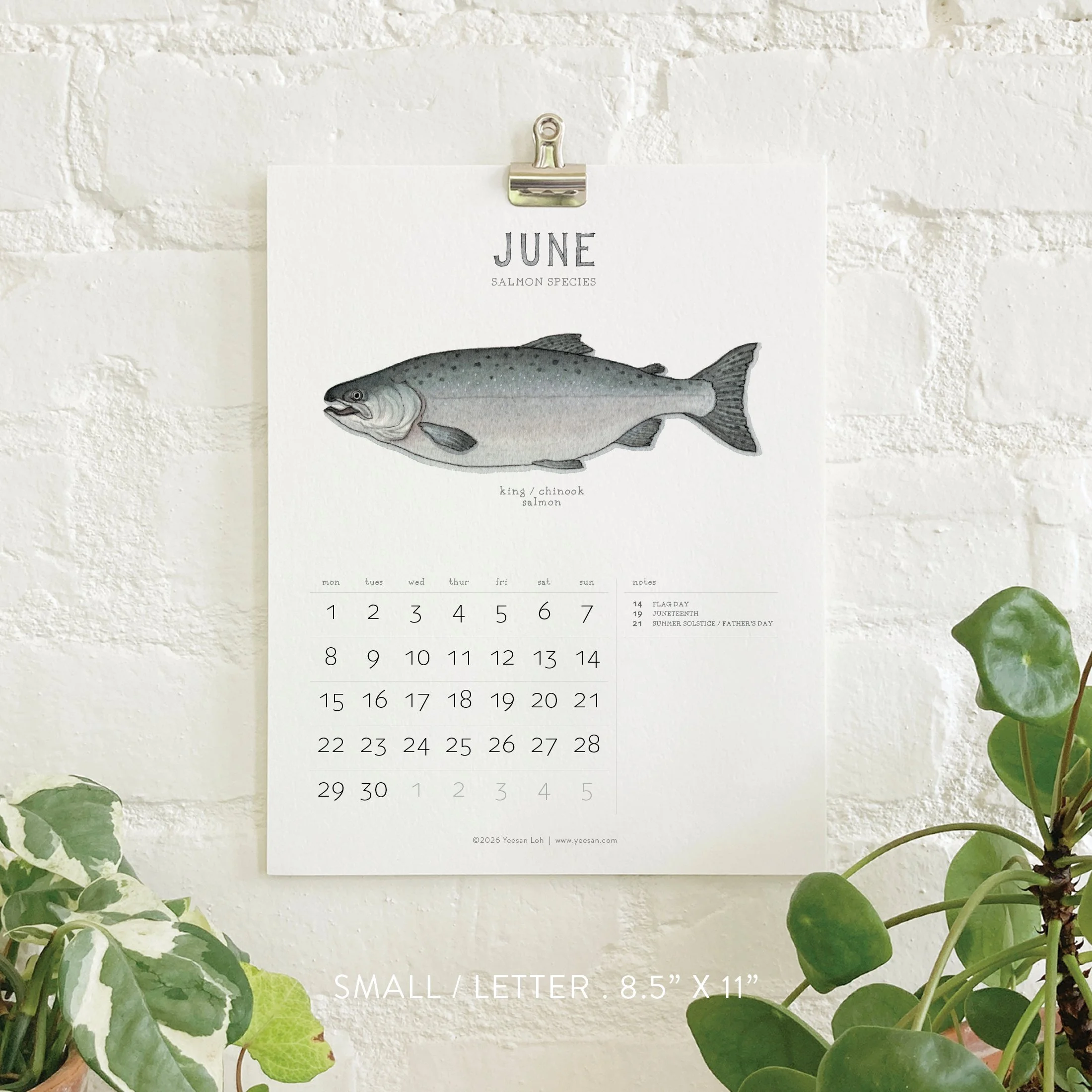 2026_shop_Calendars_Salmon7.jpg
