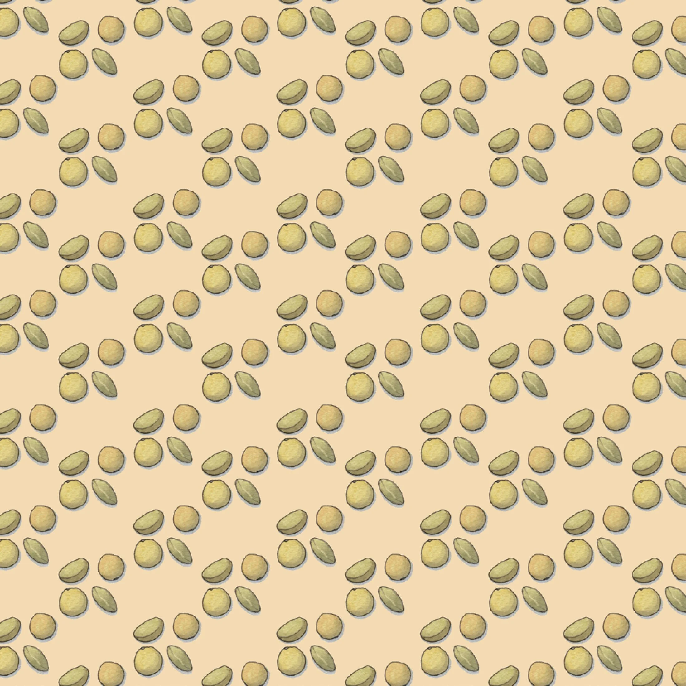 Shop_GW_Pulses_Lentil3.jpg