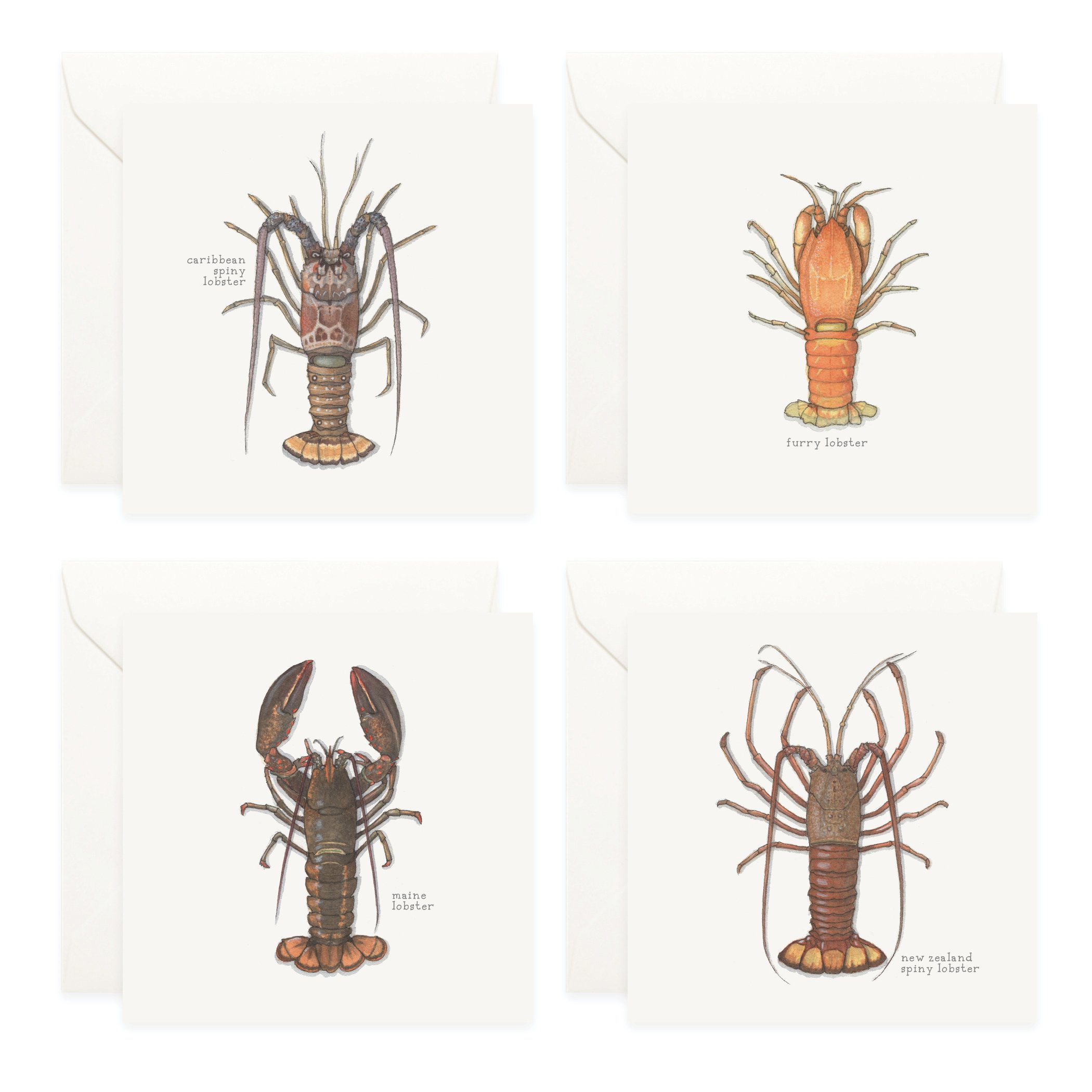 Shop_Box Set_Lobsters4.jpg