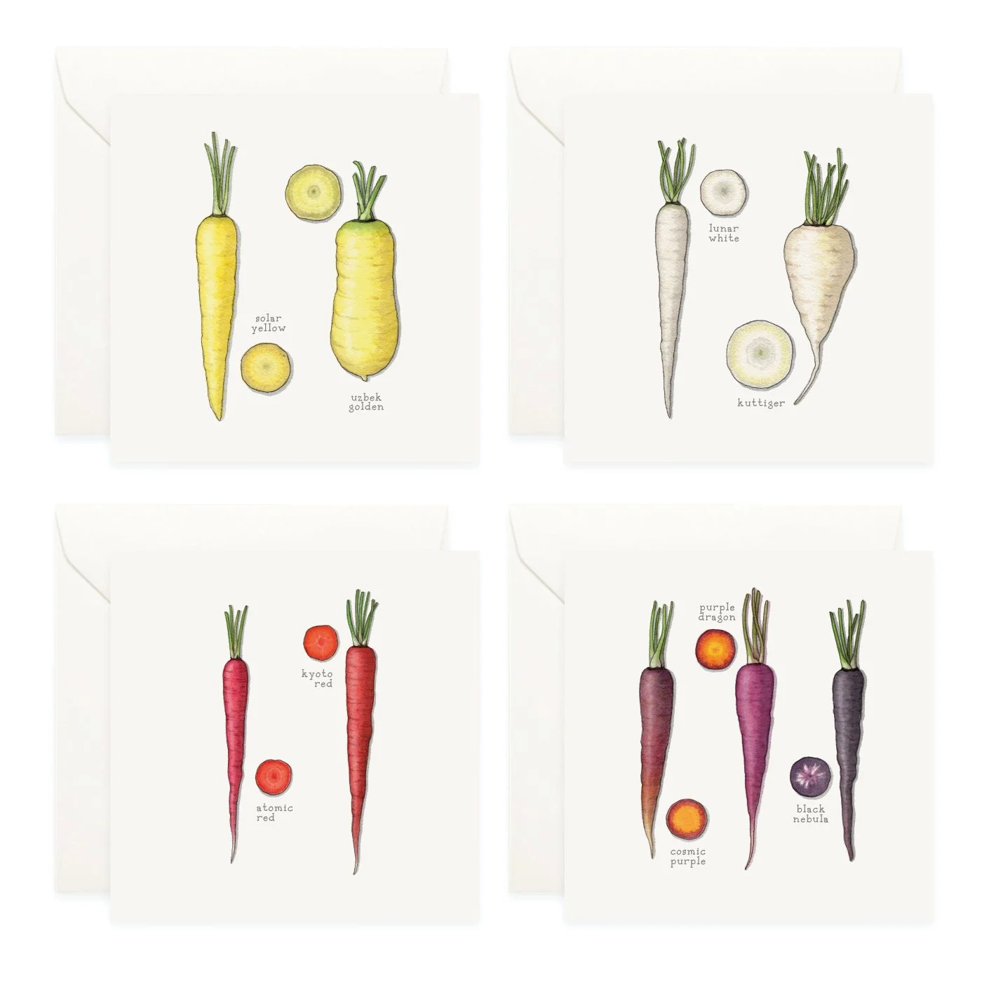 Shop_Box Set_Carrots5.jpg