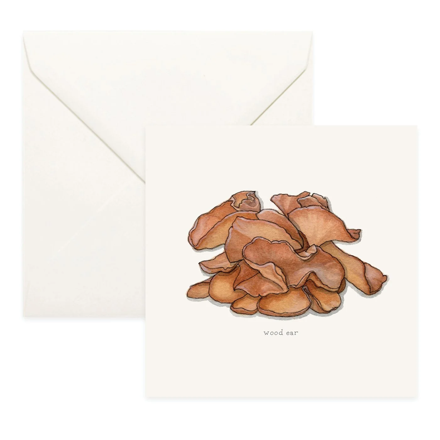 Shop_Cards_Mushrooms24.jpg (Copy)