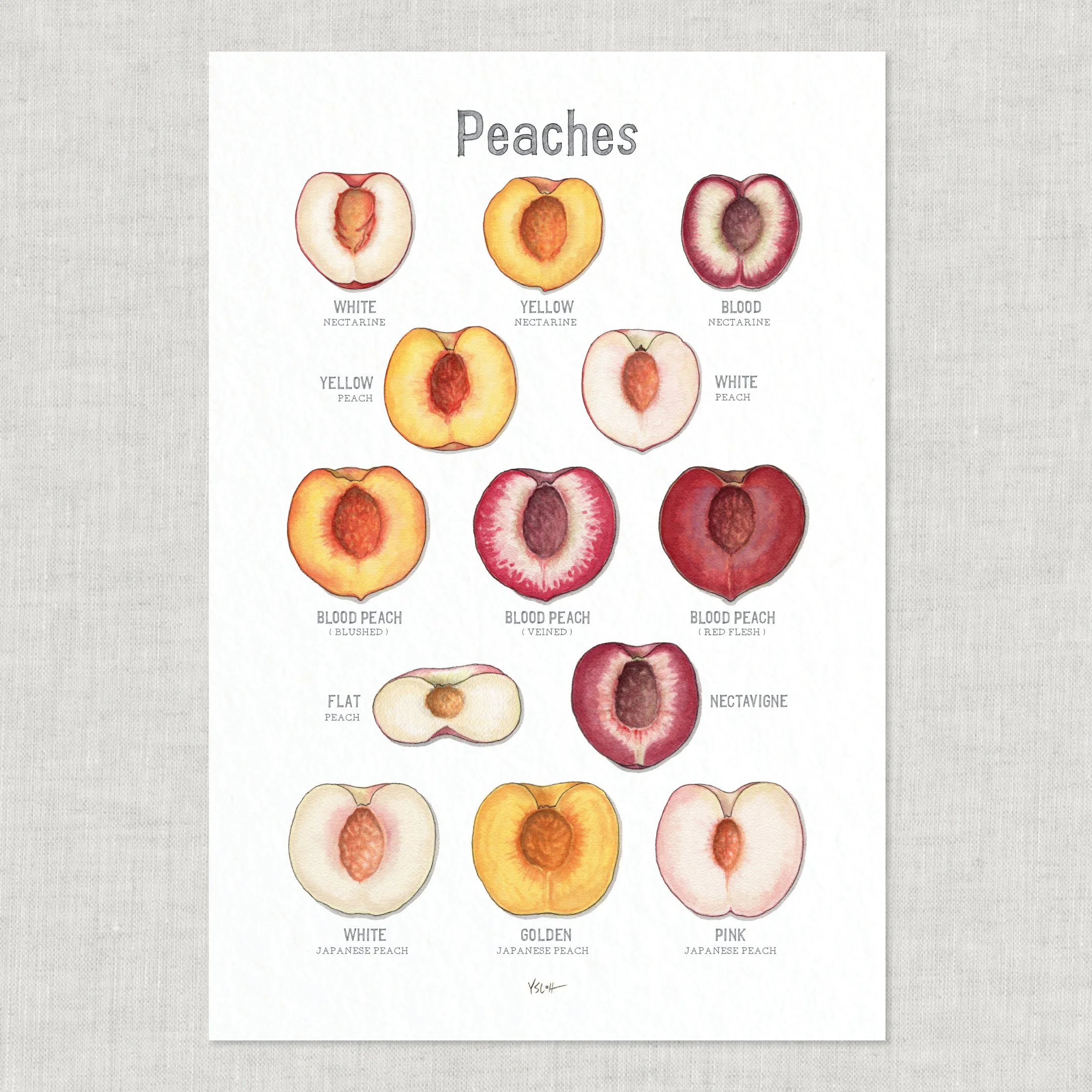 Shop_Poster_13x19_Peaches3.jpg