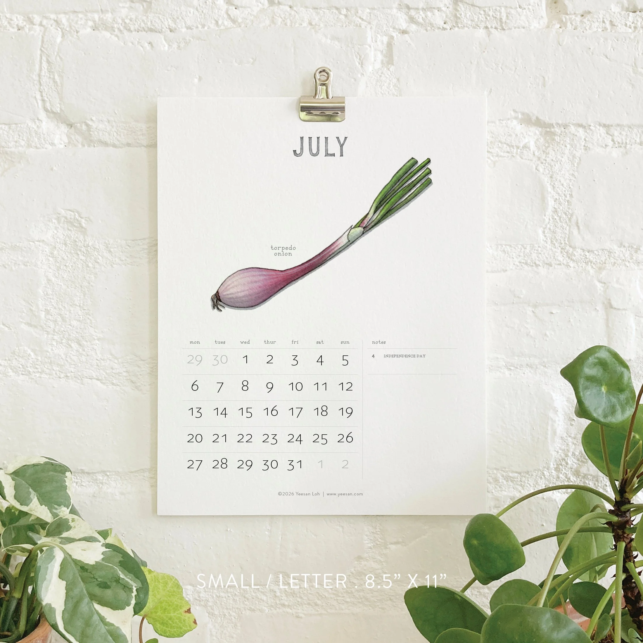 2026_shop_Calendars_Alliums8.jpg