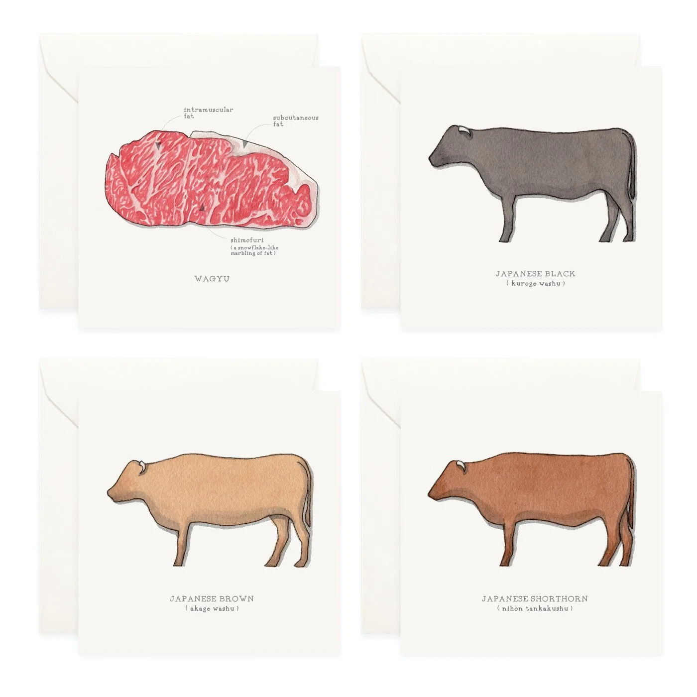 Shop_Box Set_Wagyu3.jpg