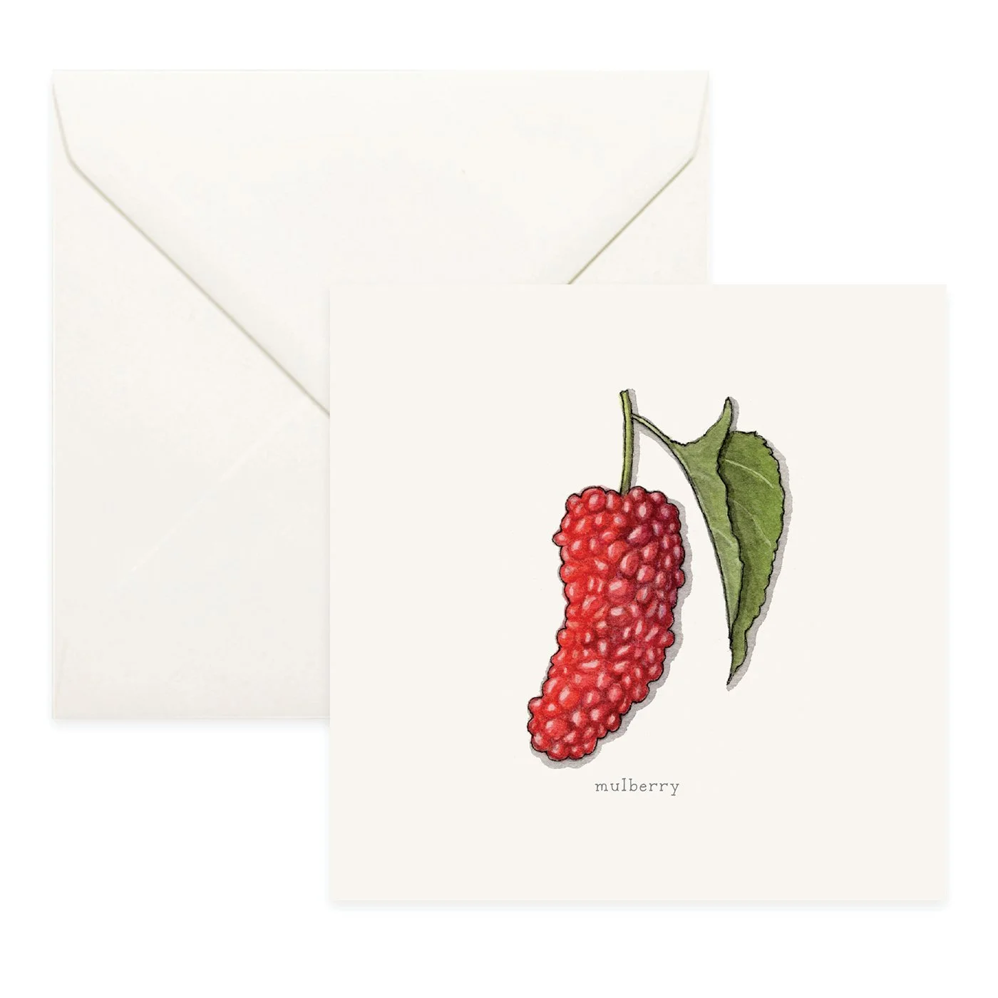 Shop_Cards_Berries21.jpg