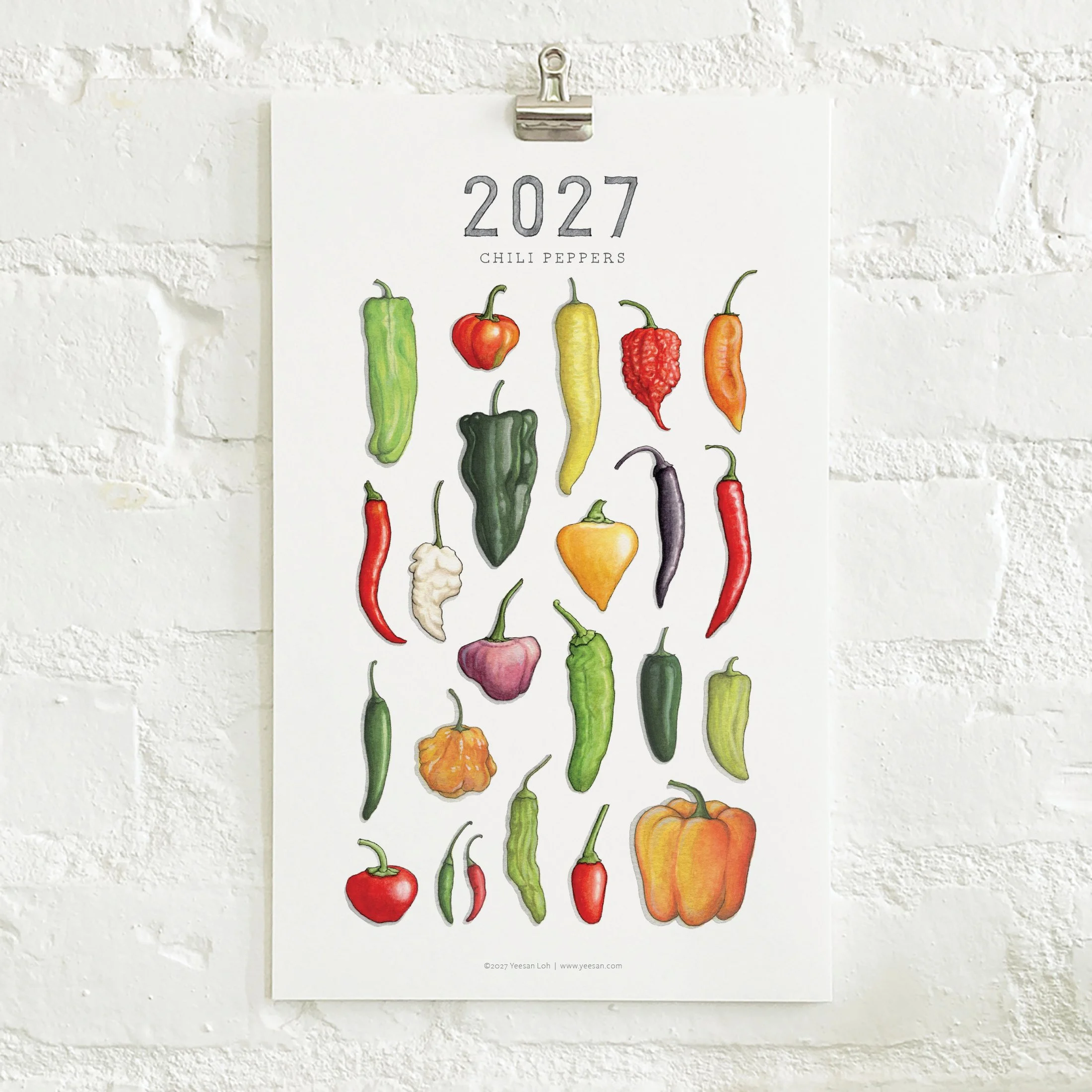 2027_shop_CAL_Chili Peppers2.jpg