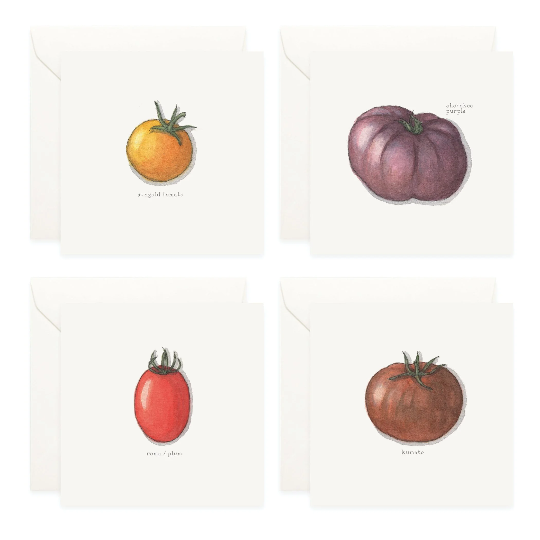 Shop_Box Set_Squash_Tomatoes5.jpg
