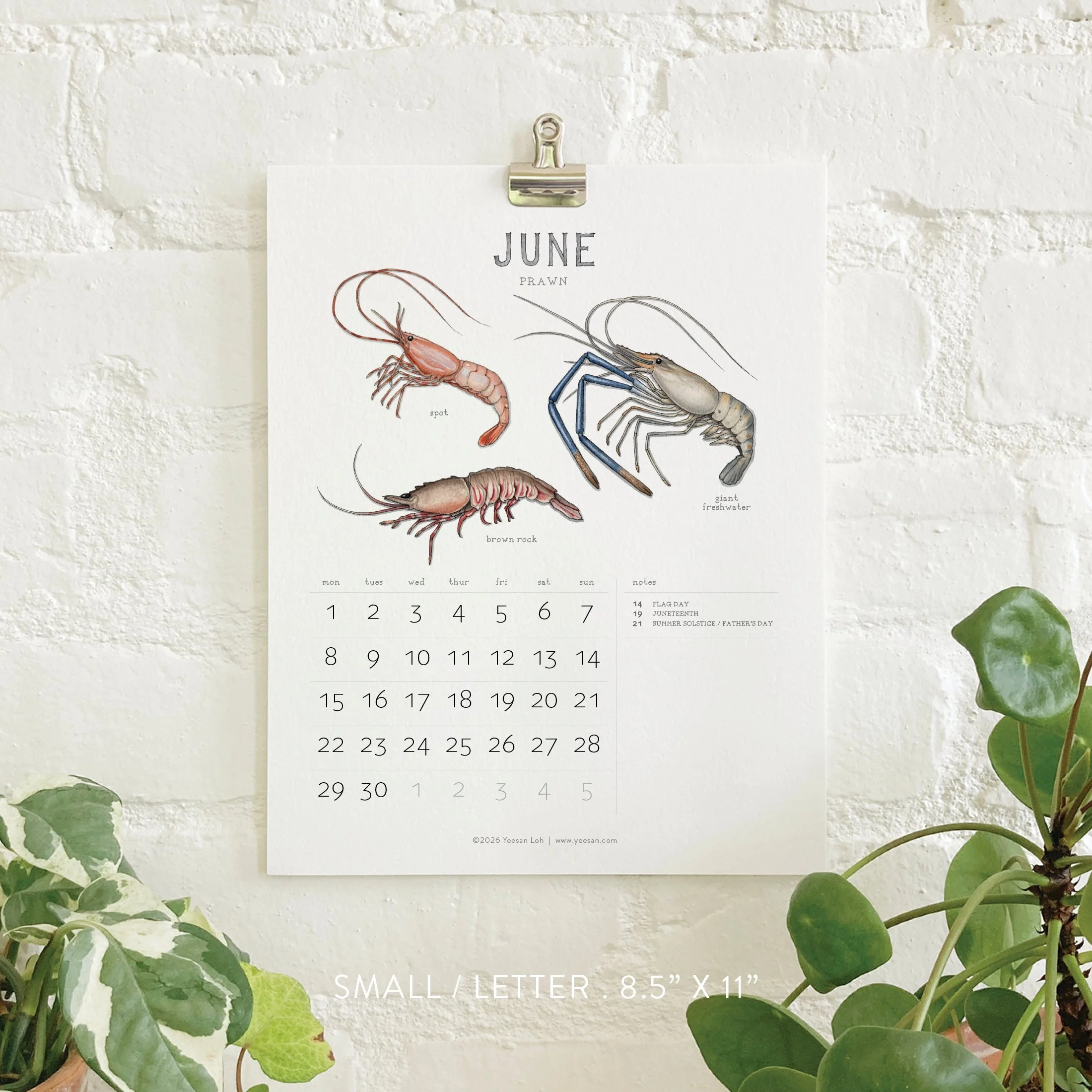 2026_shop_Calendars_Shellfish7.jpg