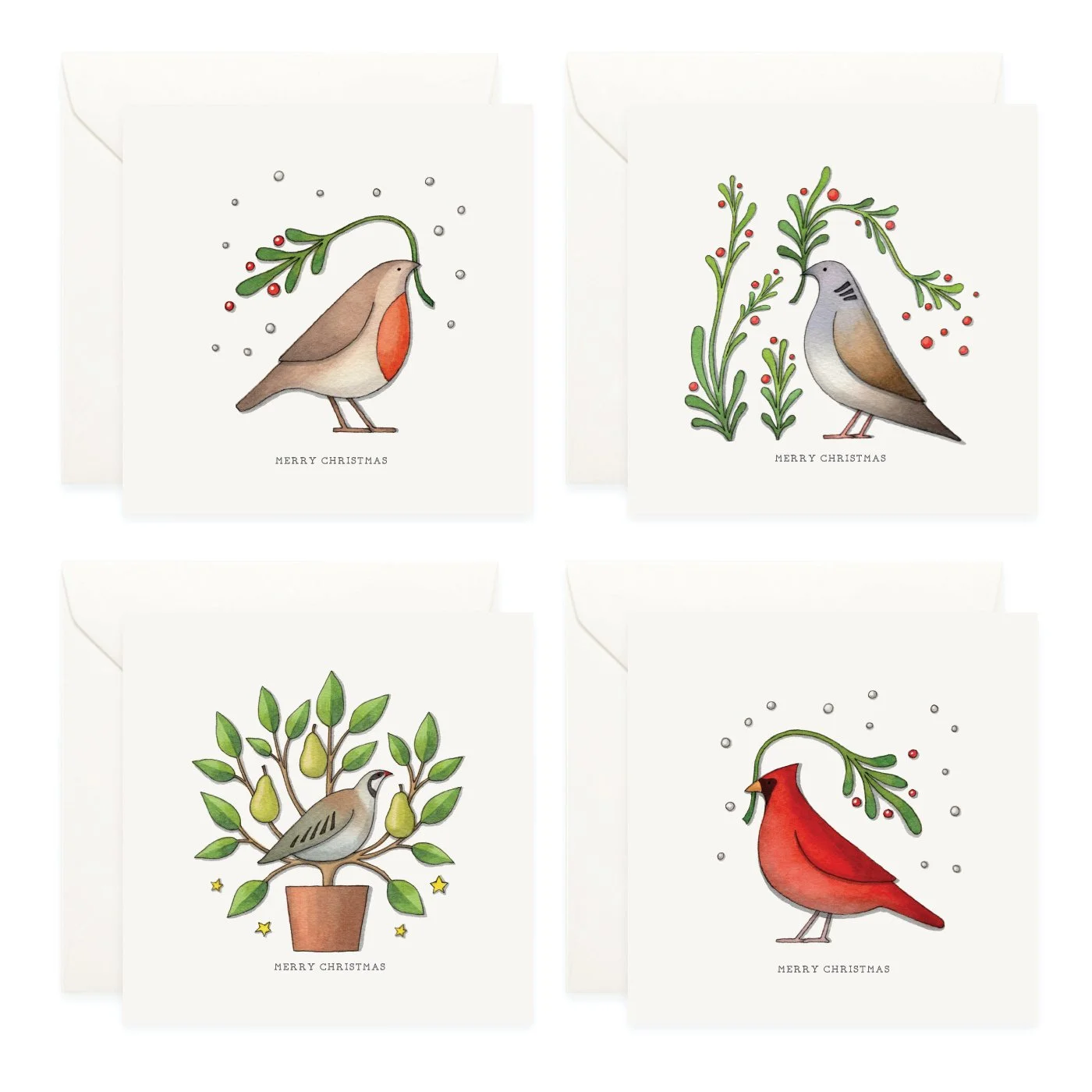 Shop_Box Set_CCBox_Birds of X'mas4.jpg