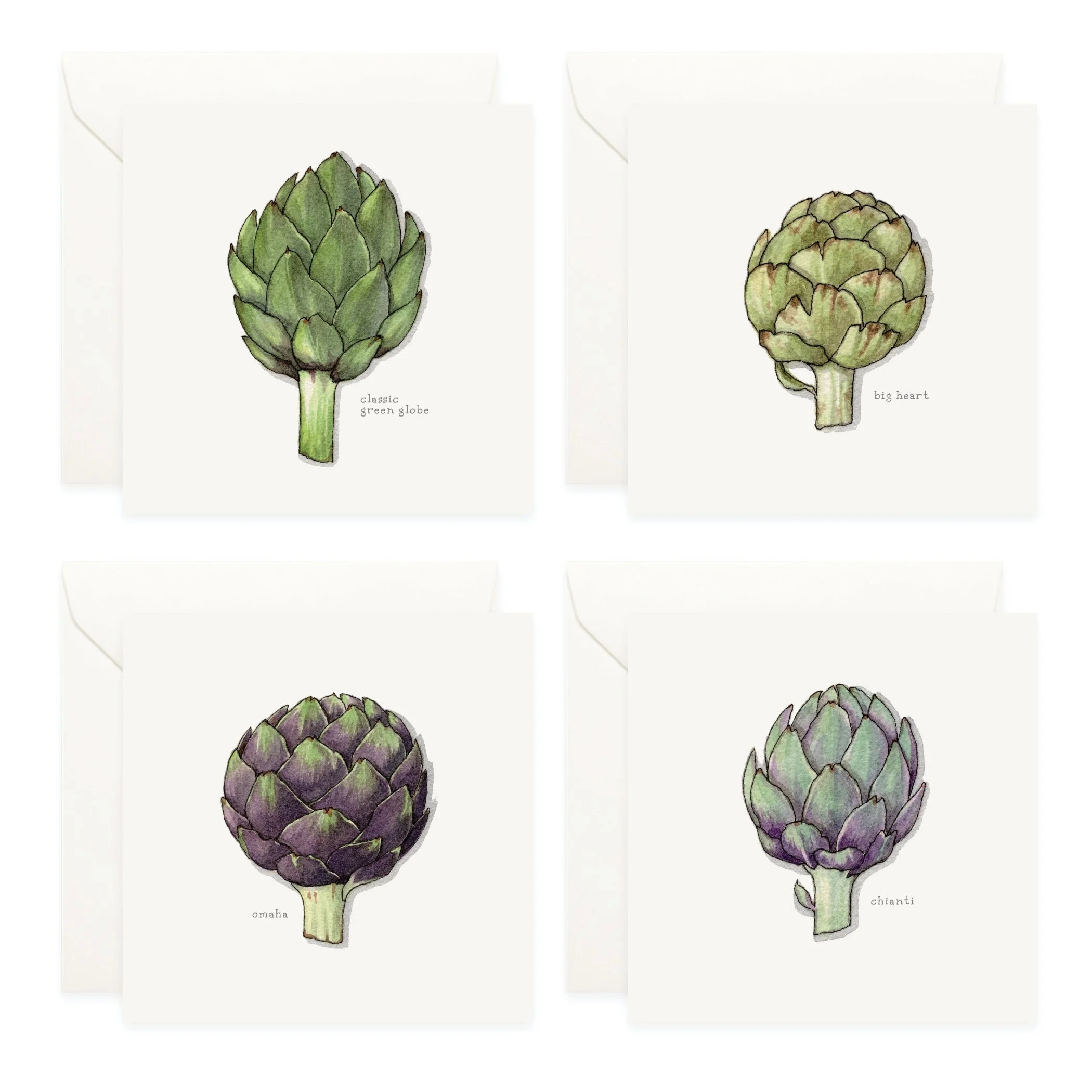 Shop_Box Set_Alrtichokes3.jpg