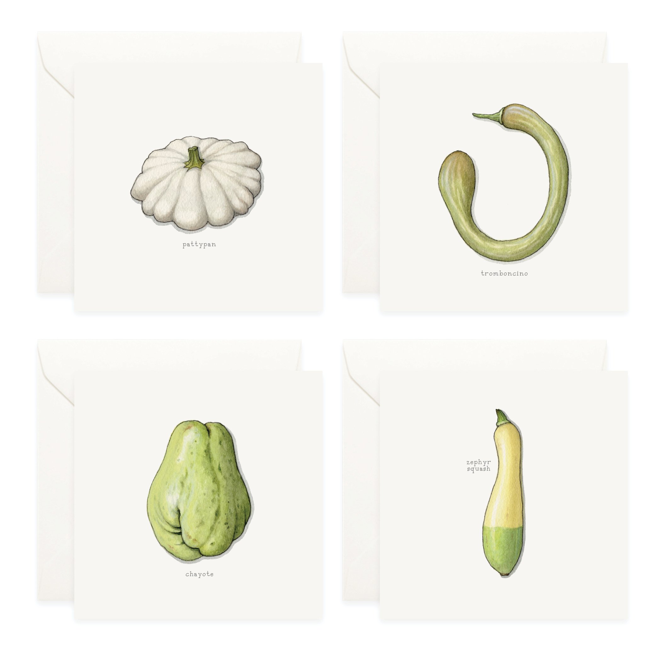 Shop_Box Set_Squash_Summer4.jpg