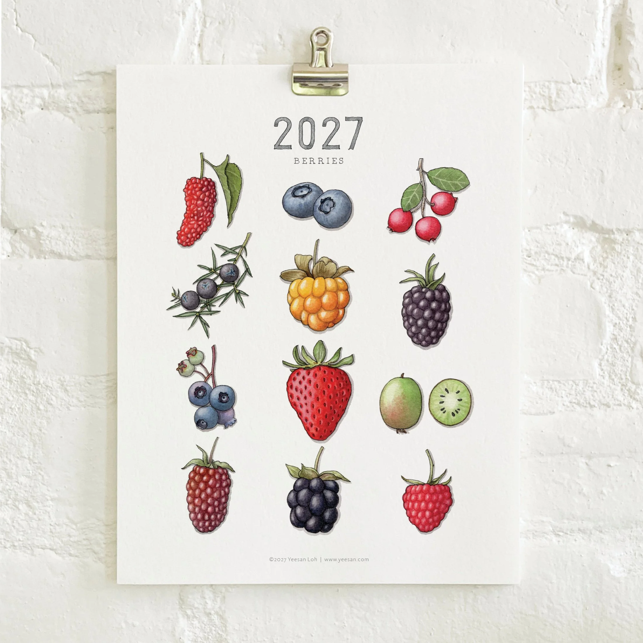2027_shop_CAL_Berries6.jpg