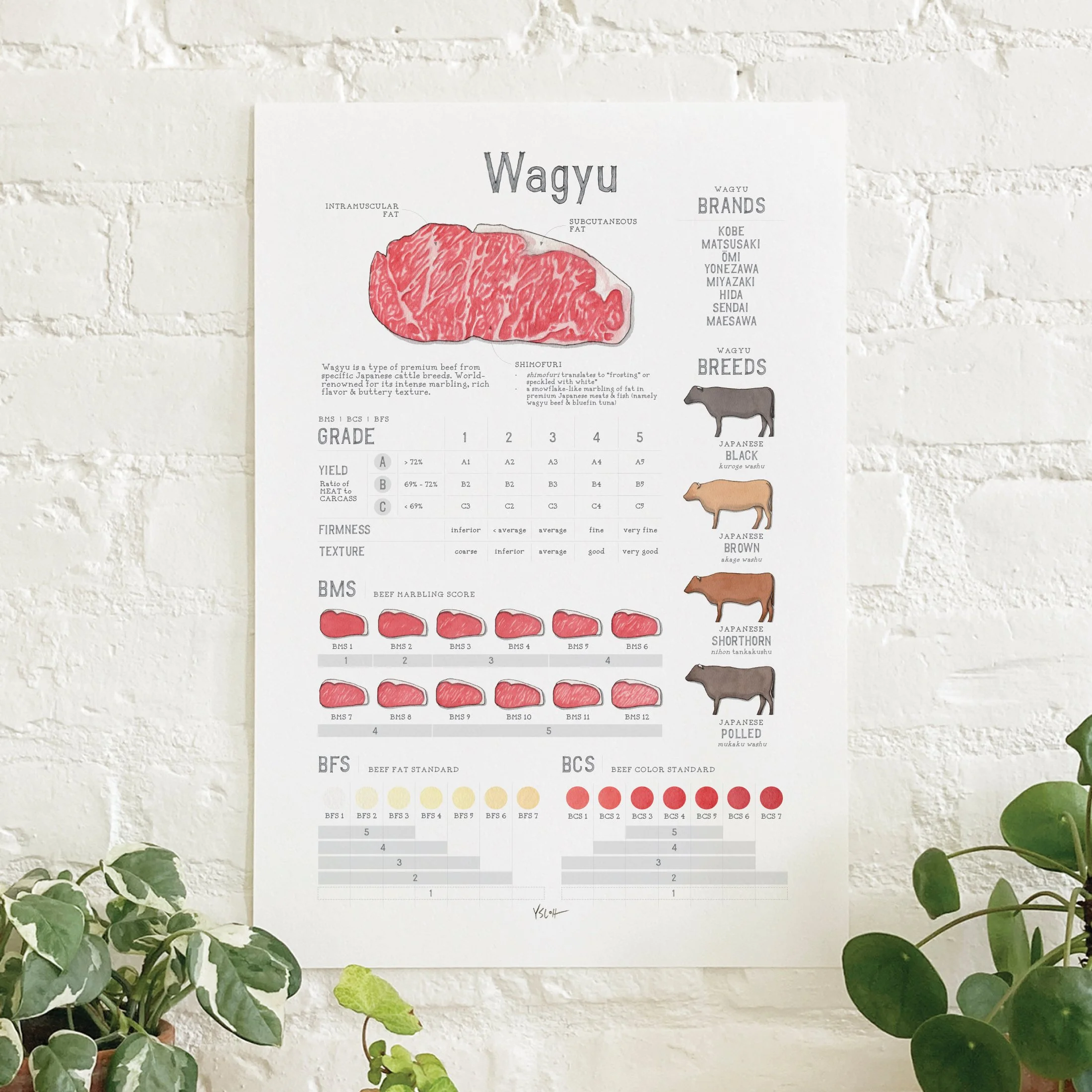 Shop_Poster_13x19_Wagyu.jpg