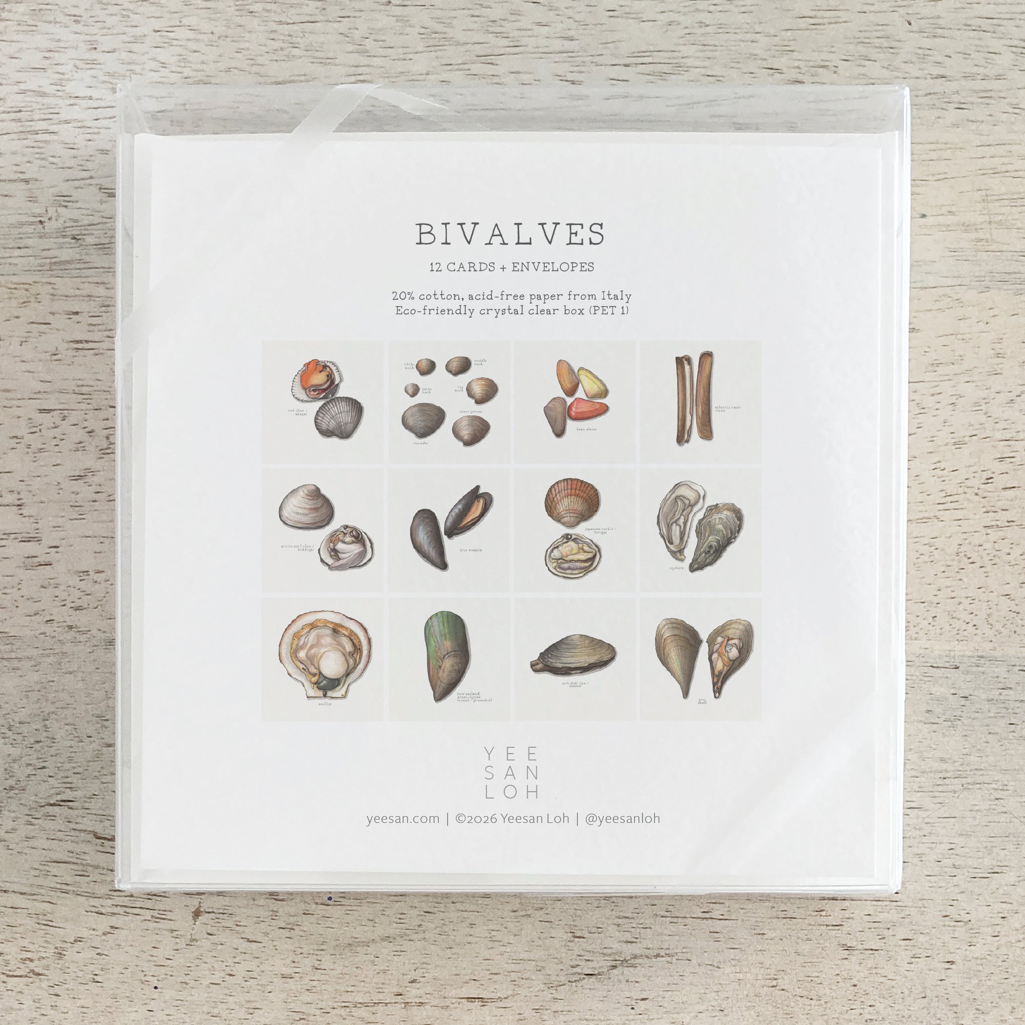 Shop_Box Set_Bivalves6.jpg