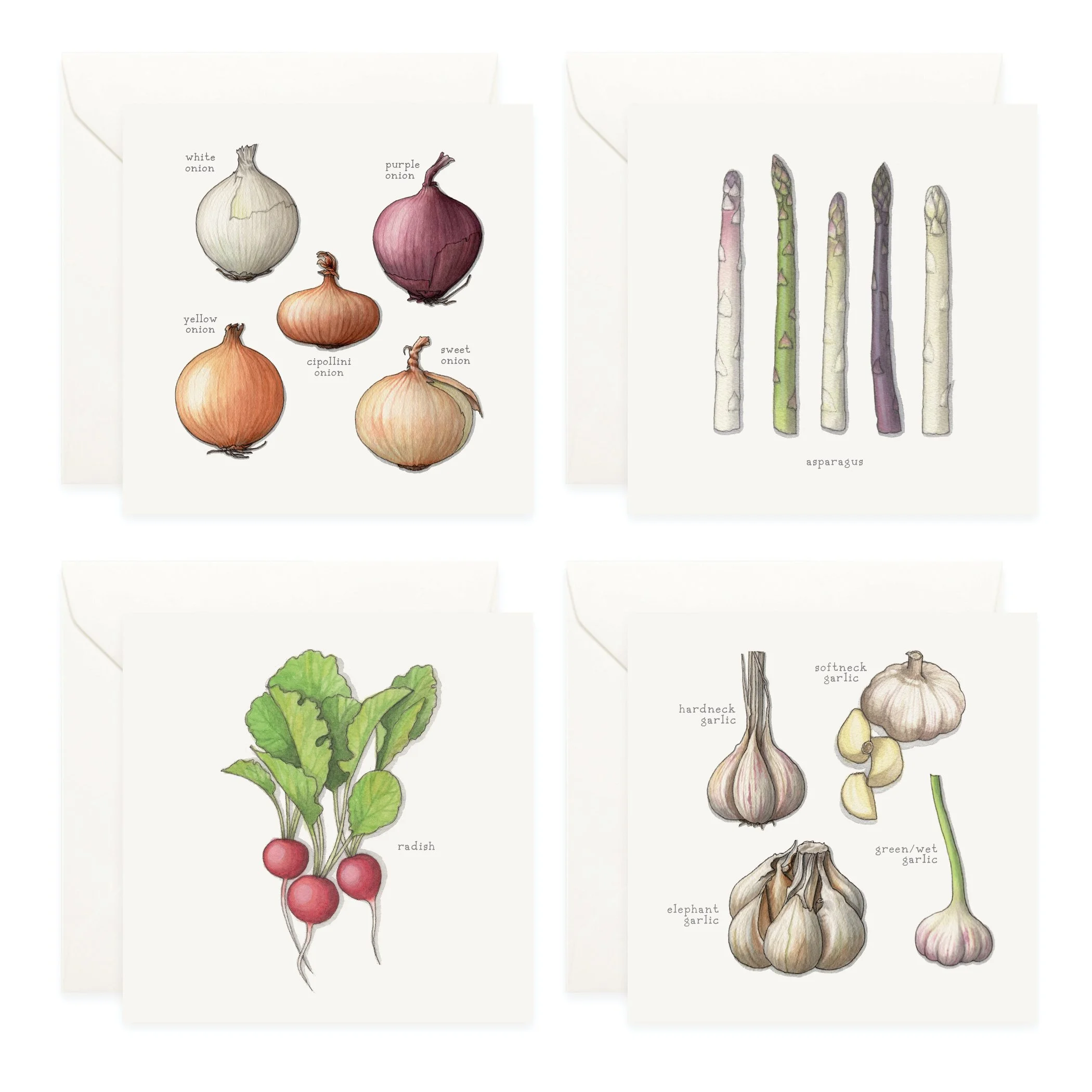 Shop_Box Set_Squash_Vegetables3.jpg