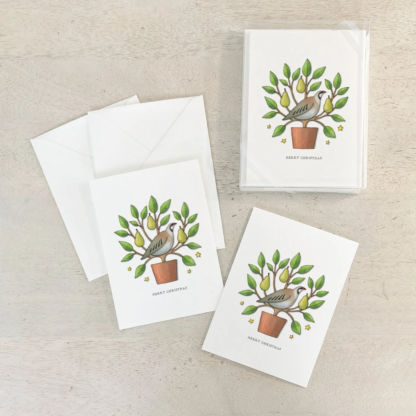 Shop_Box Set_A6_CCBox_Partridge2.jpg