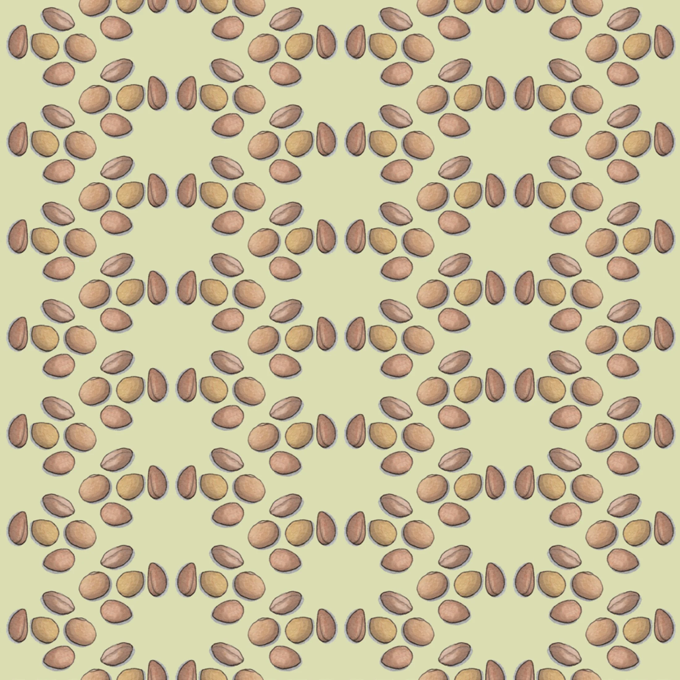 Shop_GW_Pulses_Lentil2.jpg
