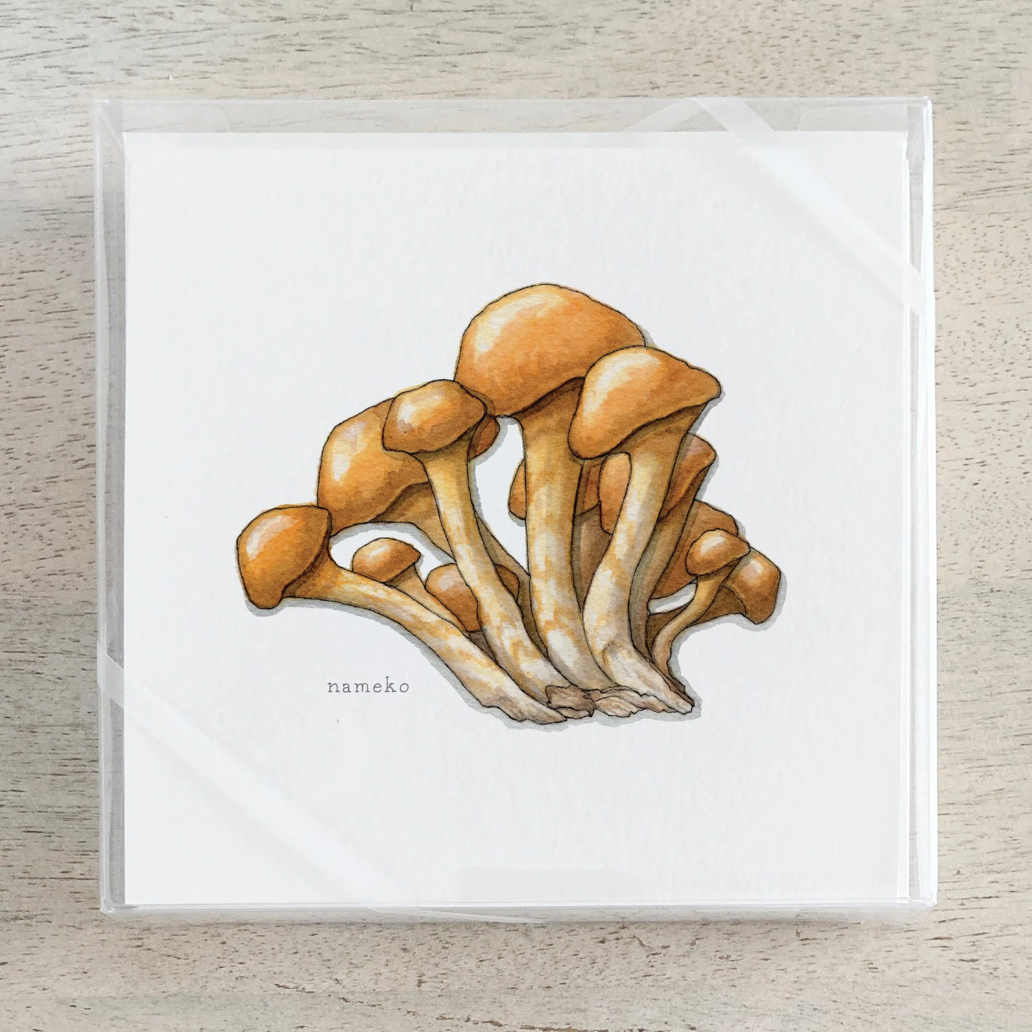Shop_Box Set_Mushrooms_J.jpg