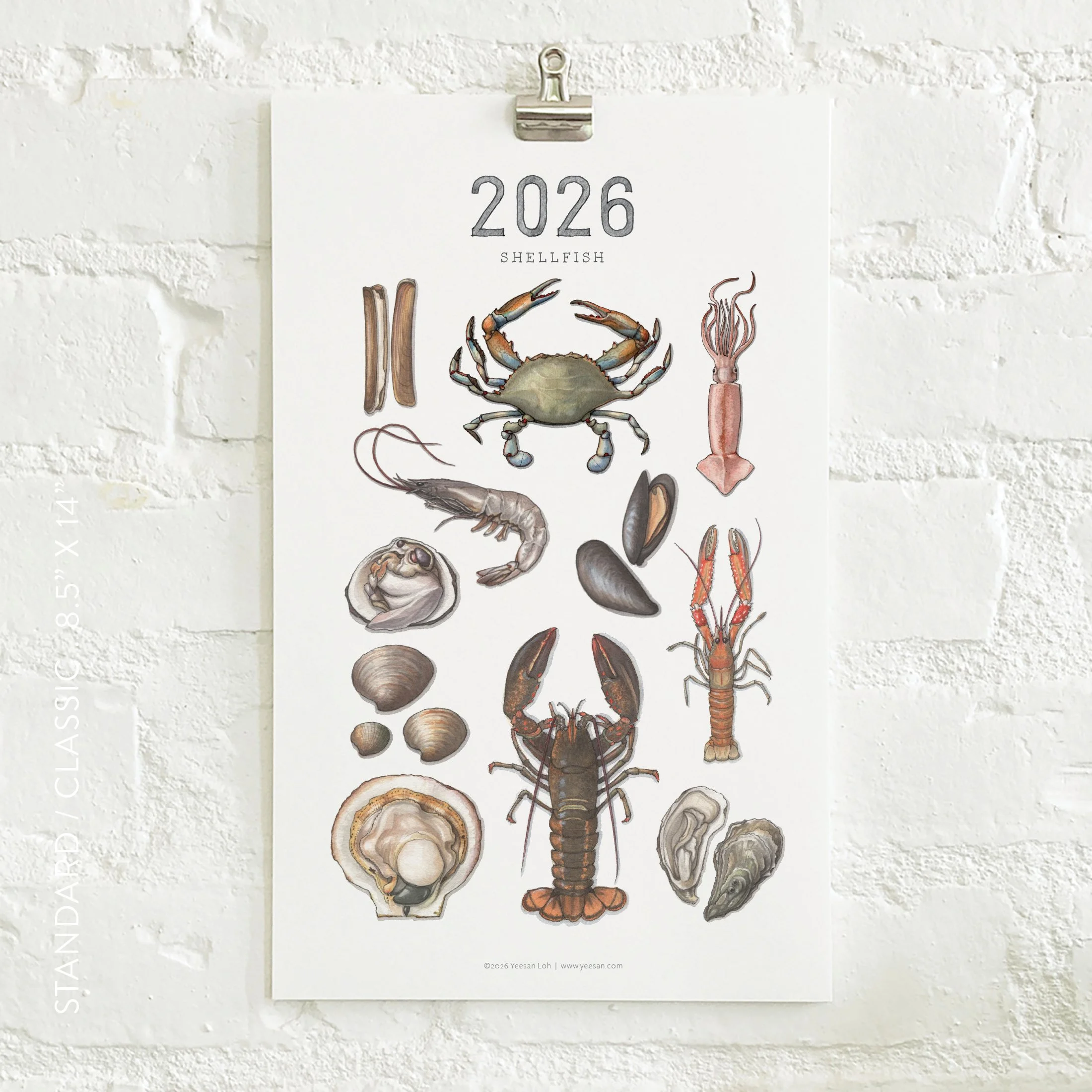 2026_shop_Calendars_Shellfish2.jpg