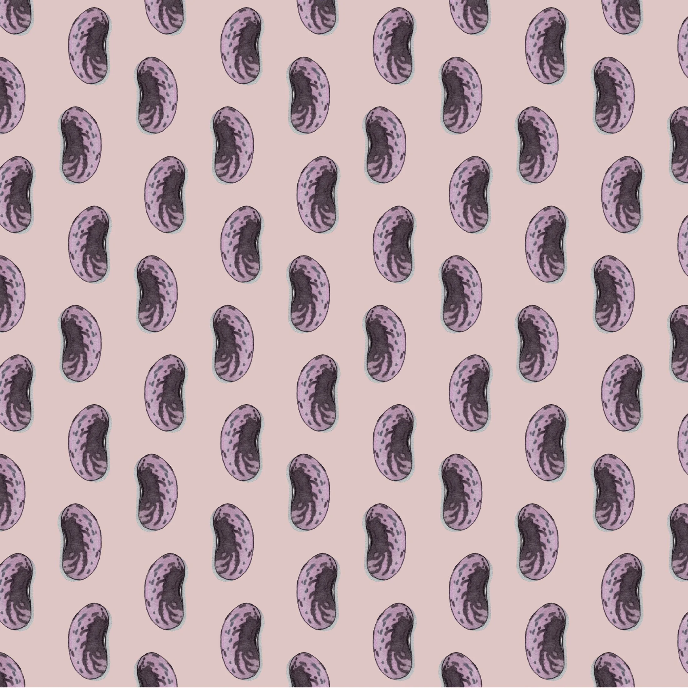 Shop_GW_Pulses_Beans8.jpg