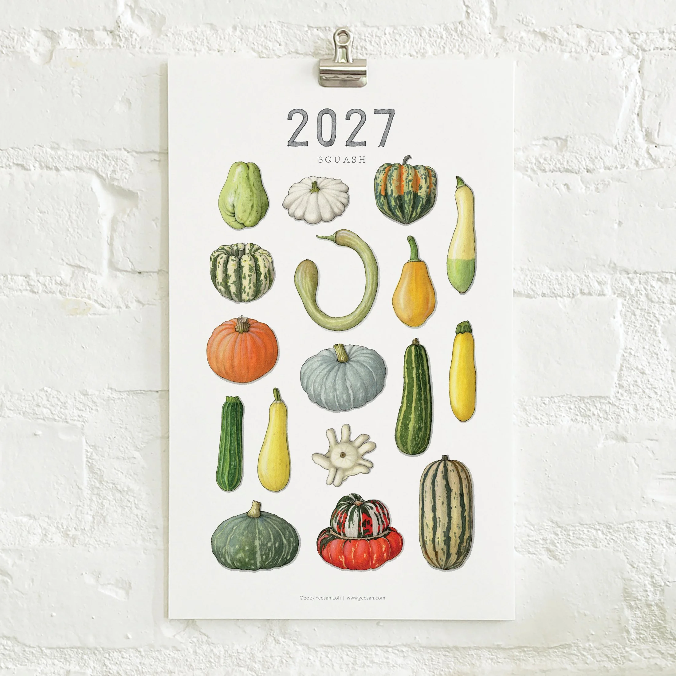2027_shop_CAL_Squash2.jpg