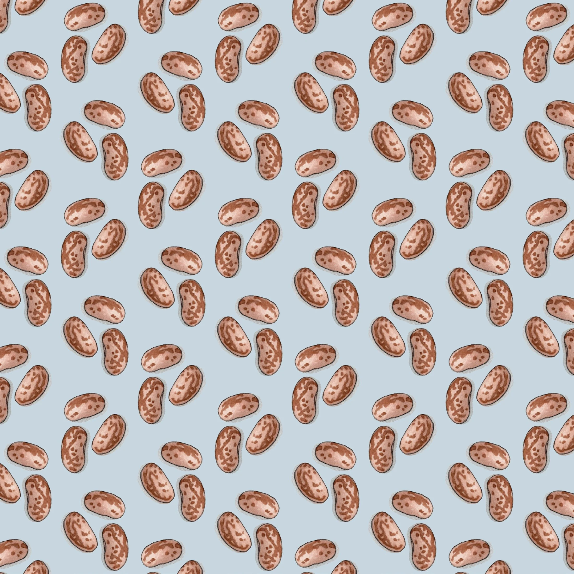 Shop_GW_Pulses_Beans7.jpg