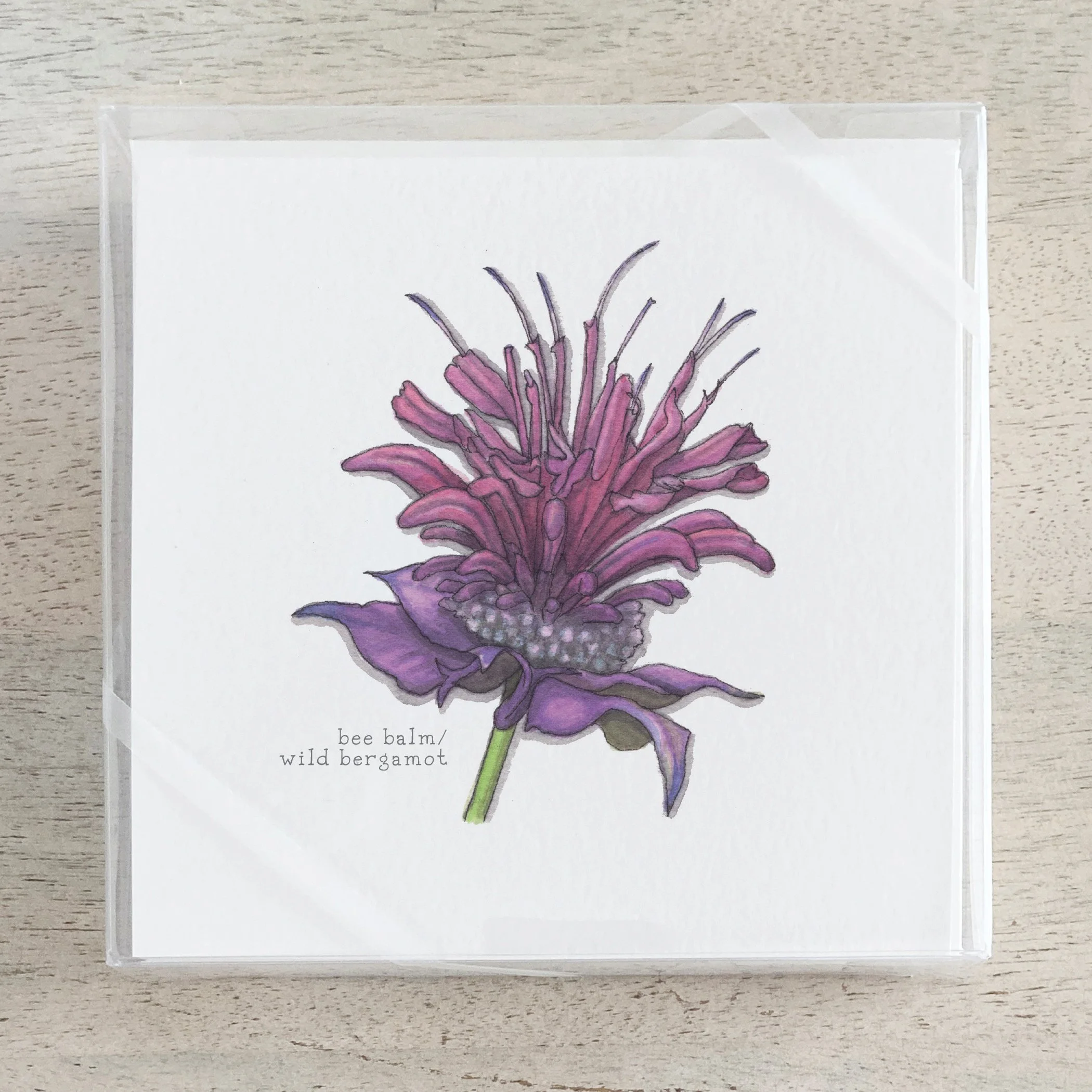 Shop_Box Set_Edible Flowers_01.jpg