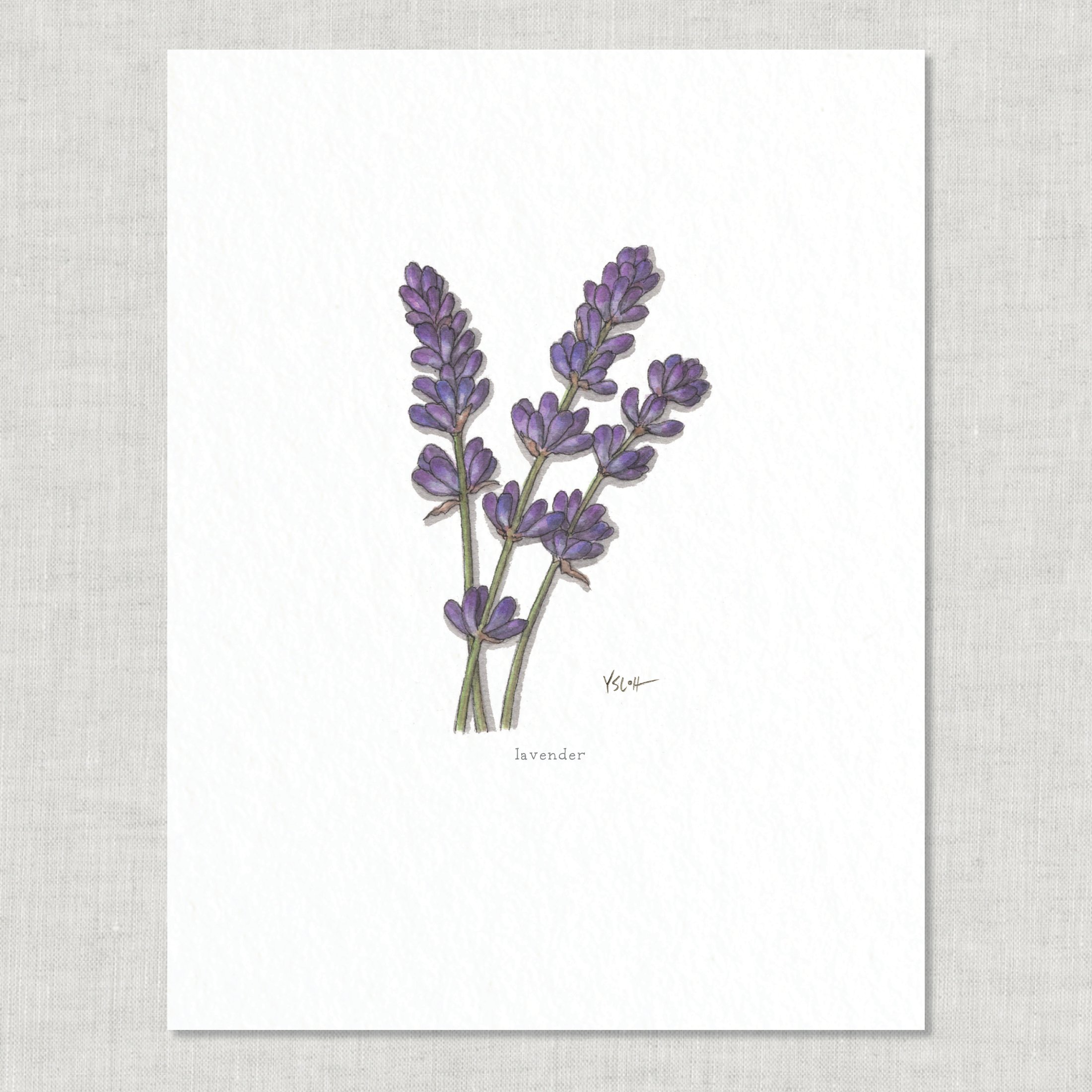 Shop_8.5x11_print_Edible Flowers18.jpg