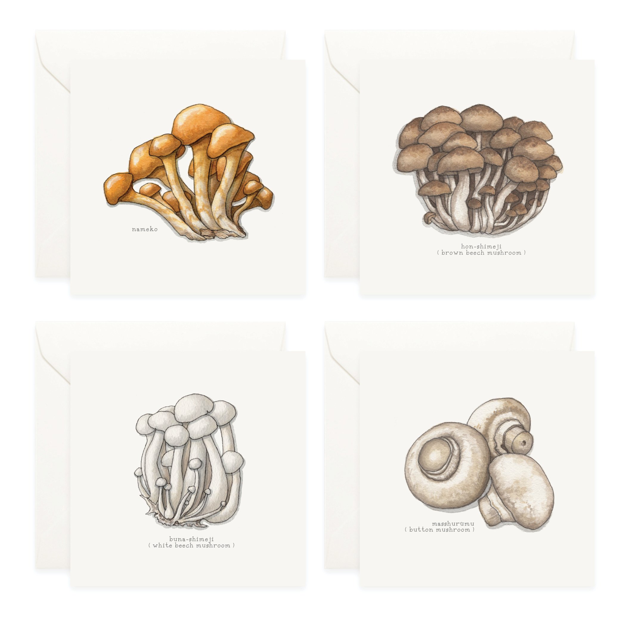 Shop_Box Set_Mushrooms_J3.jpg