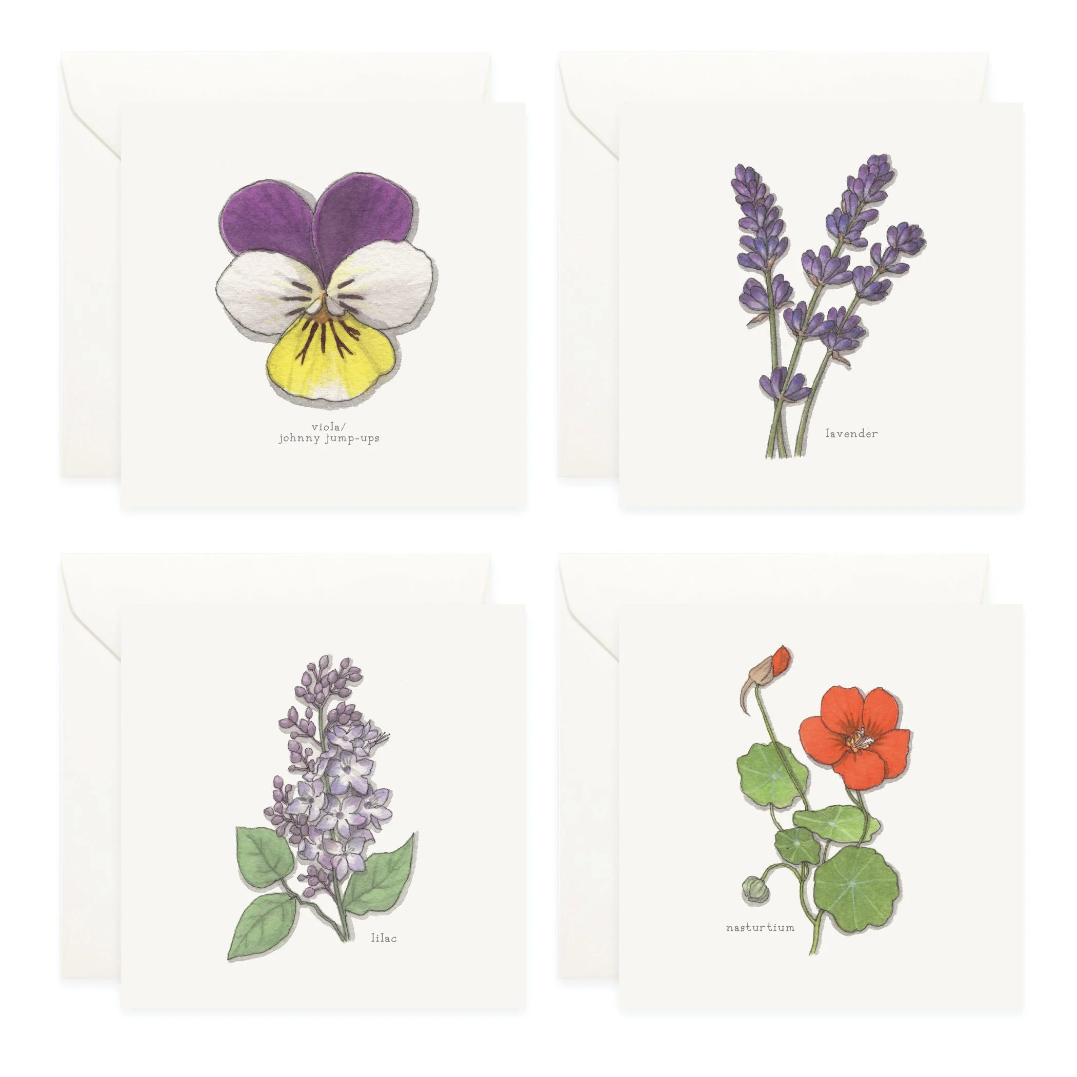 Shop_Box Set_Edible Flowers_023.jpg